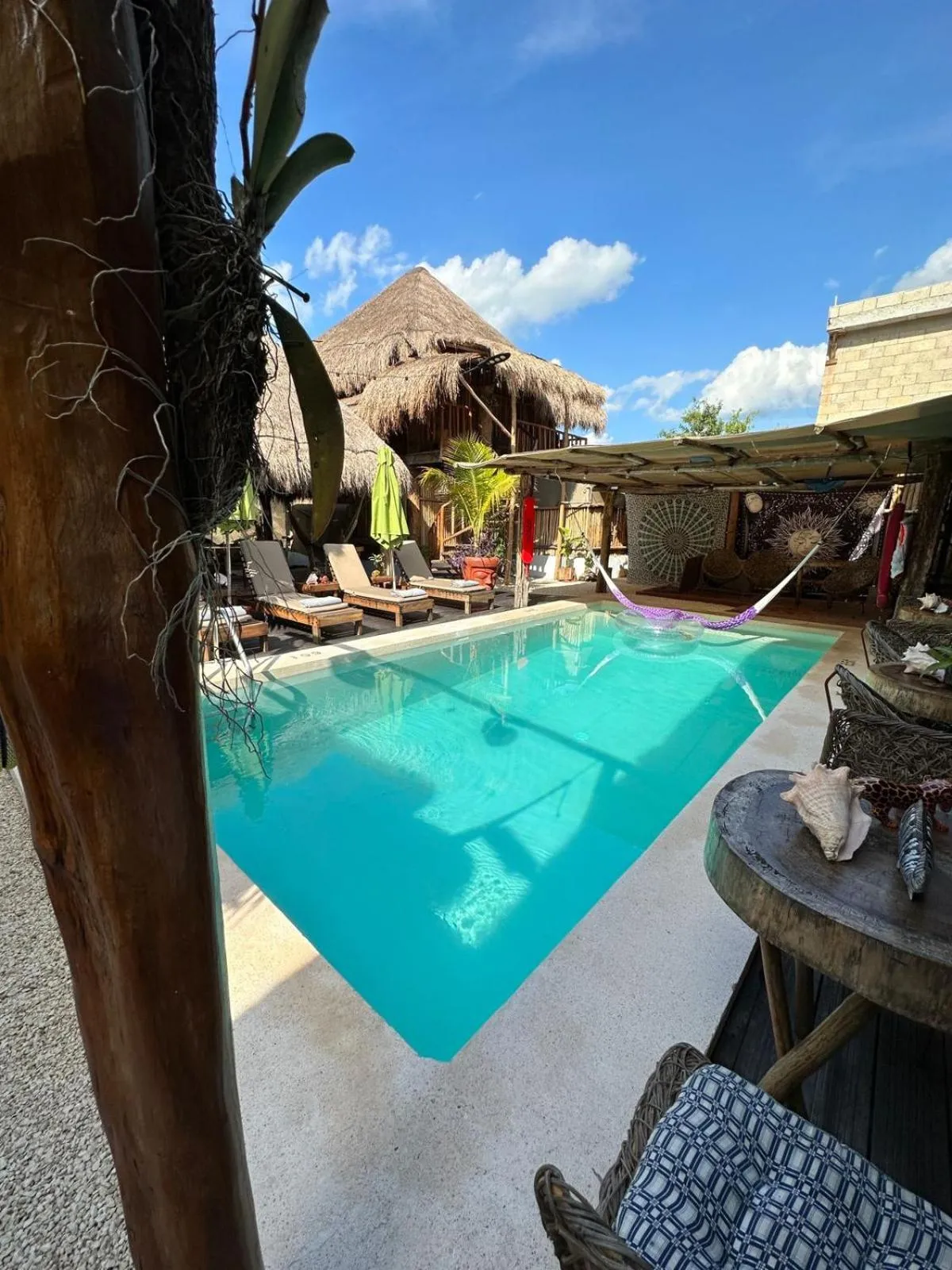 Swimming pool in Jungla y Estrellas