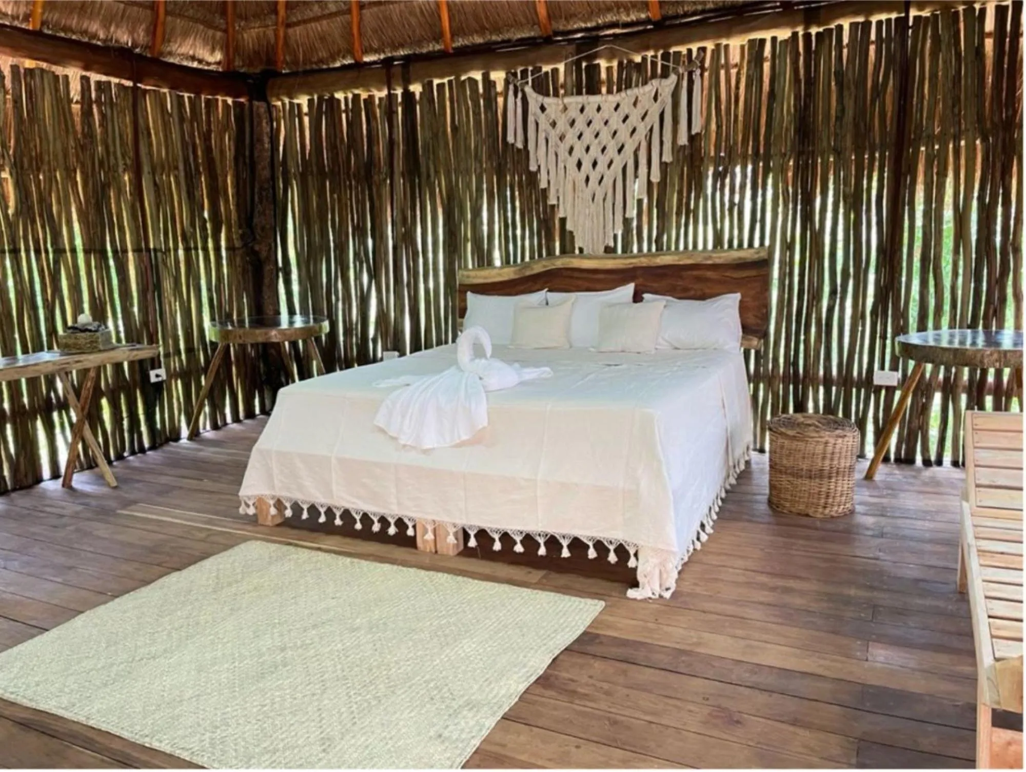 Bed in Jungla y Estrellas