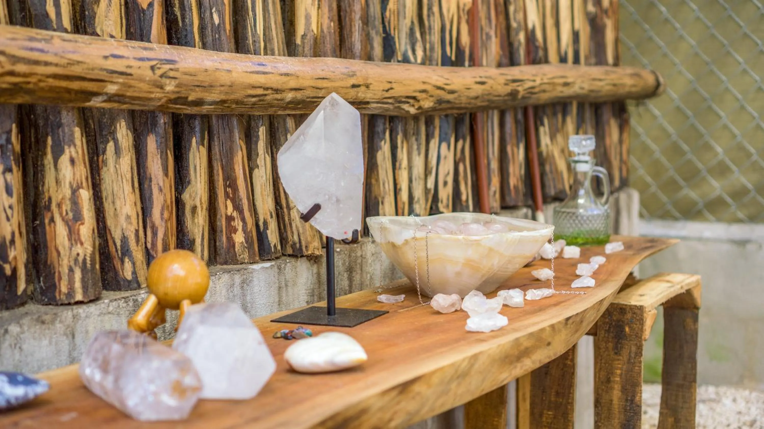 Lobby or reception in Jungla y Estrellas