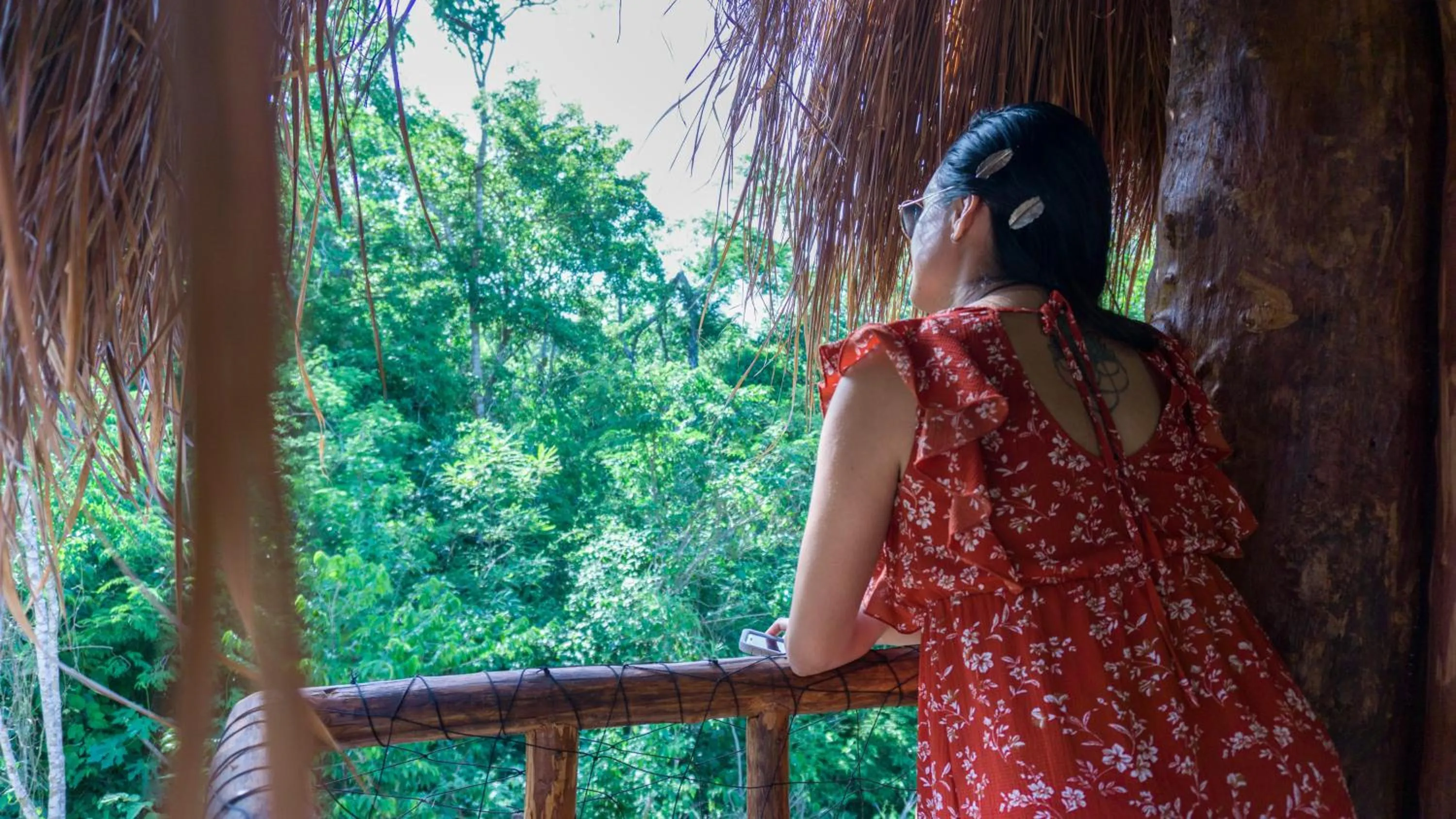 Natural landscape in Jungla y Estrellas