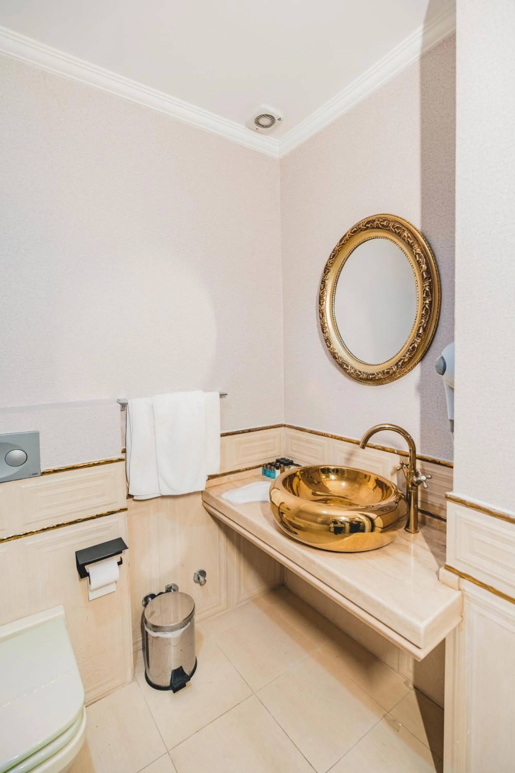 Toilet in Hotel Fresia Istanbul