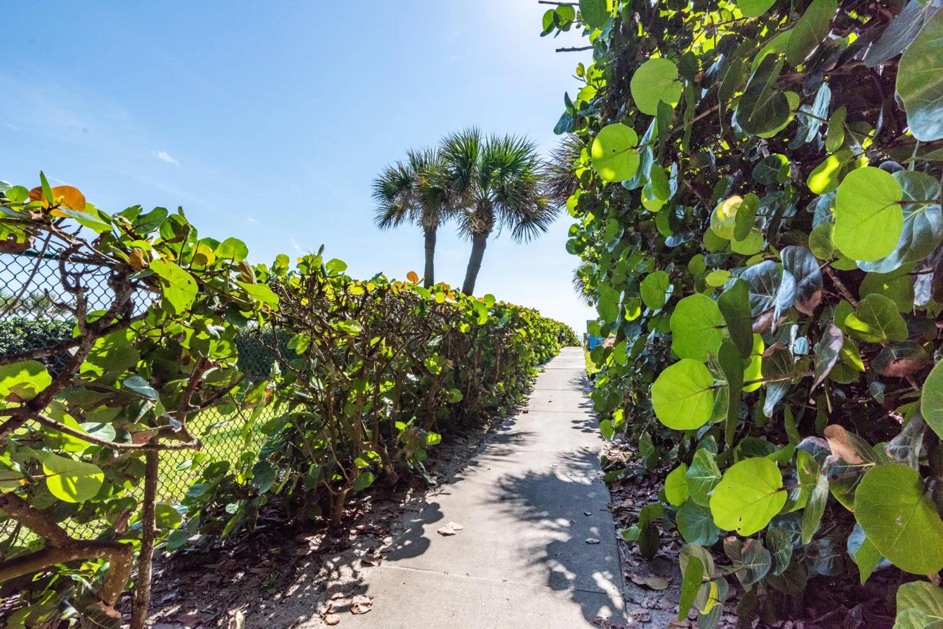Natural landscape in Amazing 2 Bedroom Townhouse near beach