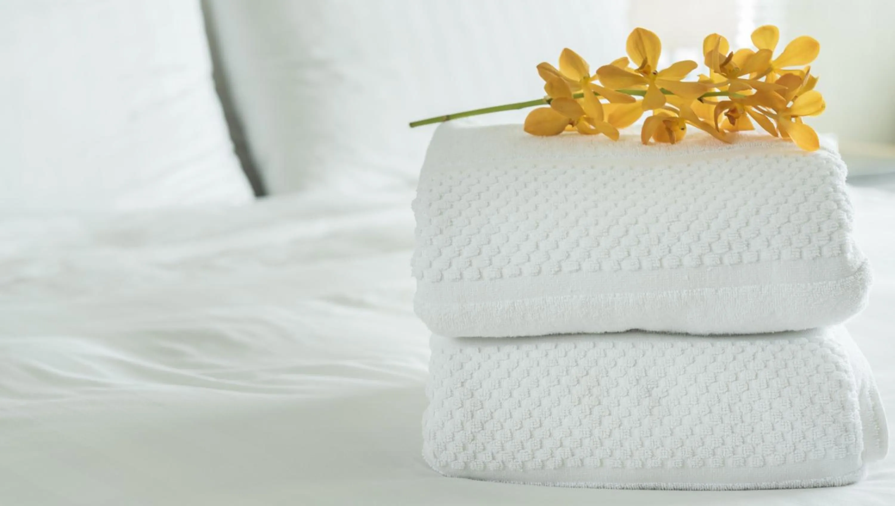 Bathroom, Bed in Indianhead Ironwood Hotel