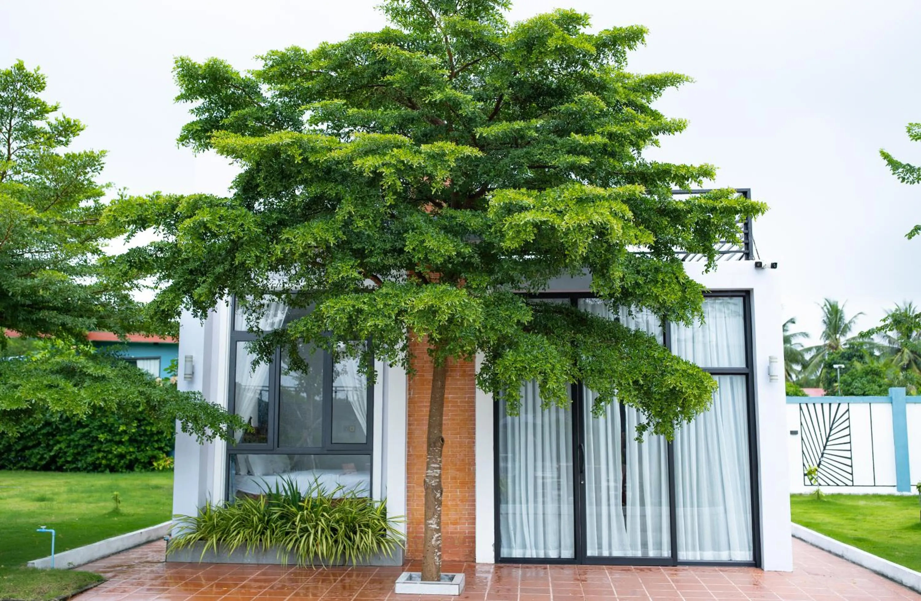 Garden in Damnak Borey Resort