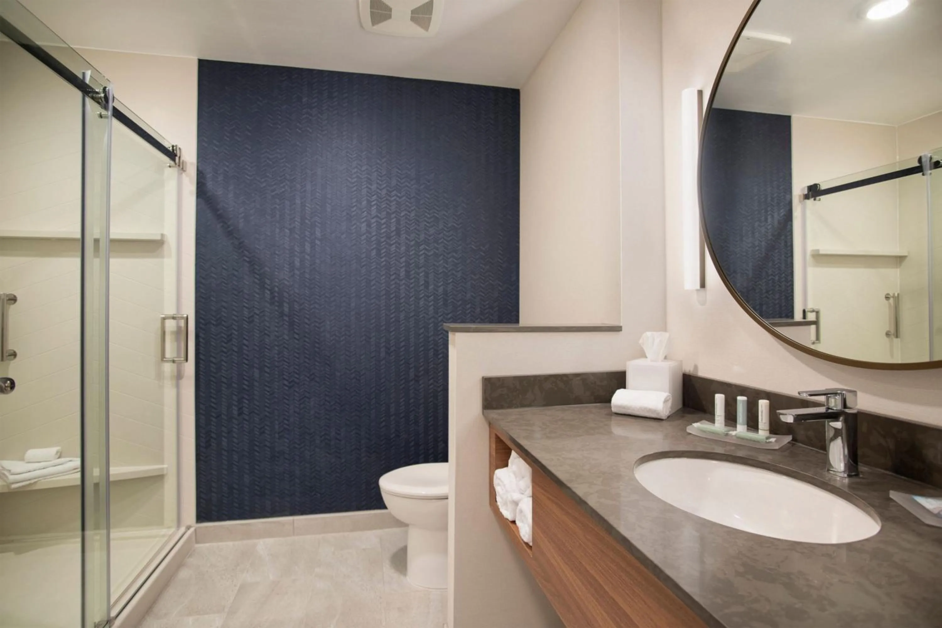 Bathroom in Fairfield by Marriott Inn & Suites Memphis Arlington