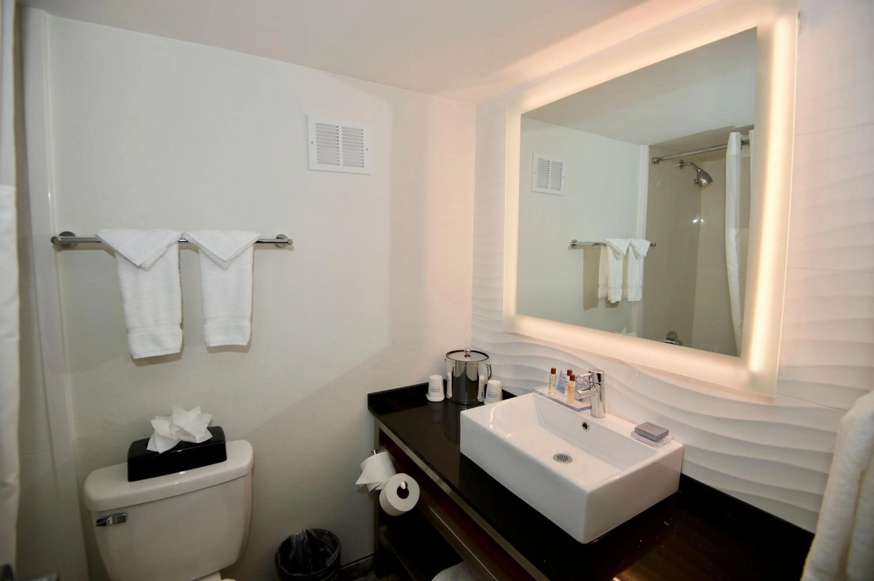 Bathroom in Ramada by Wyndham Austin South