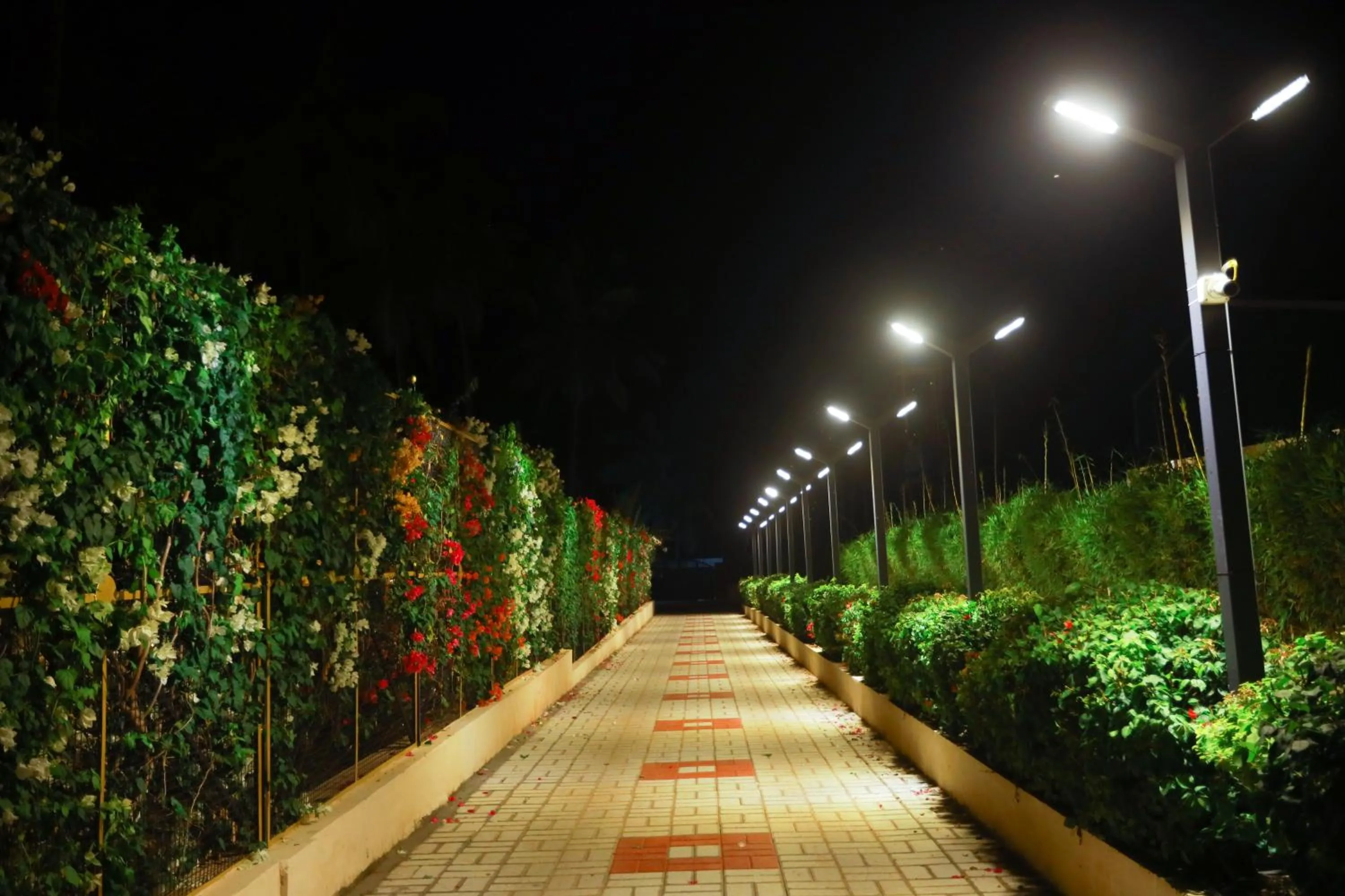 Night in Royal Destiny Resort