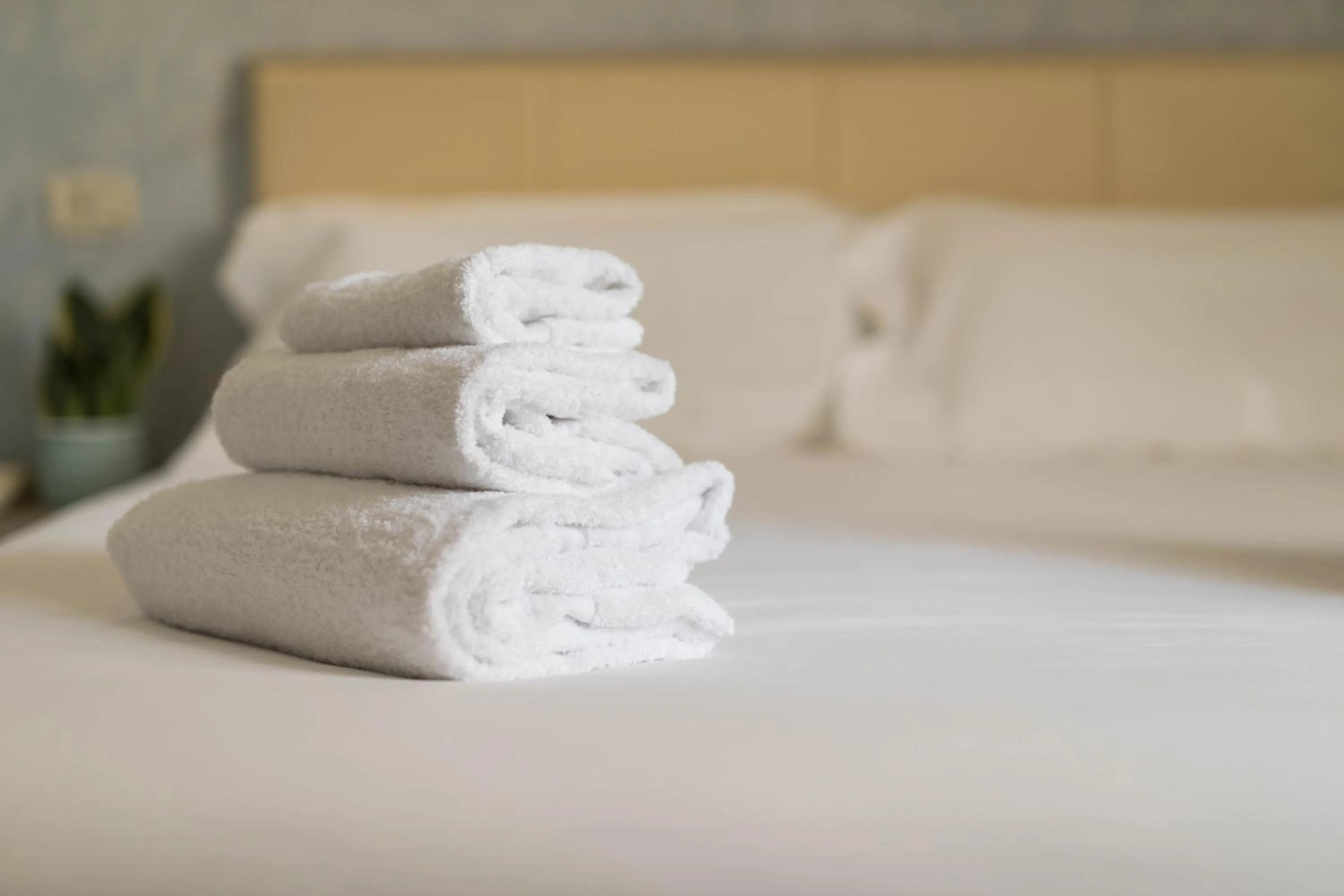 Steam room, Bed in Hotel L'Aretino