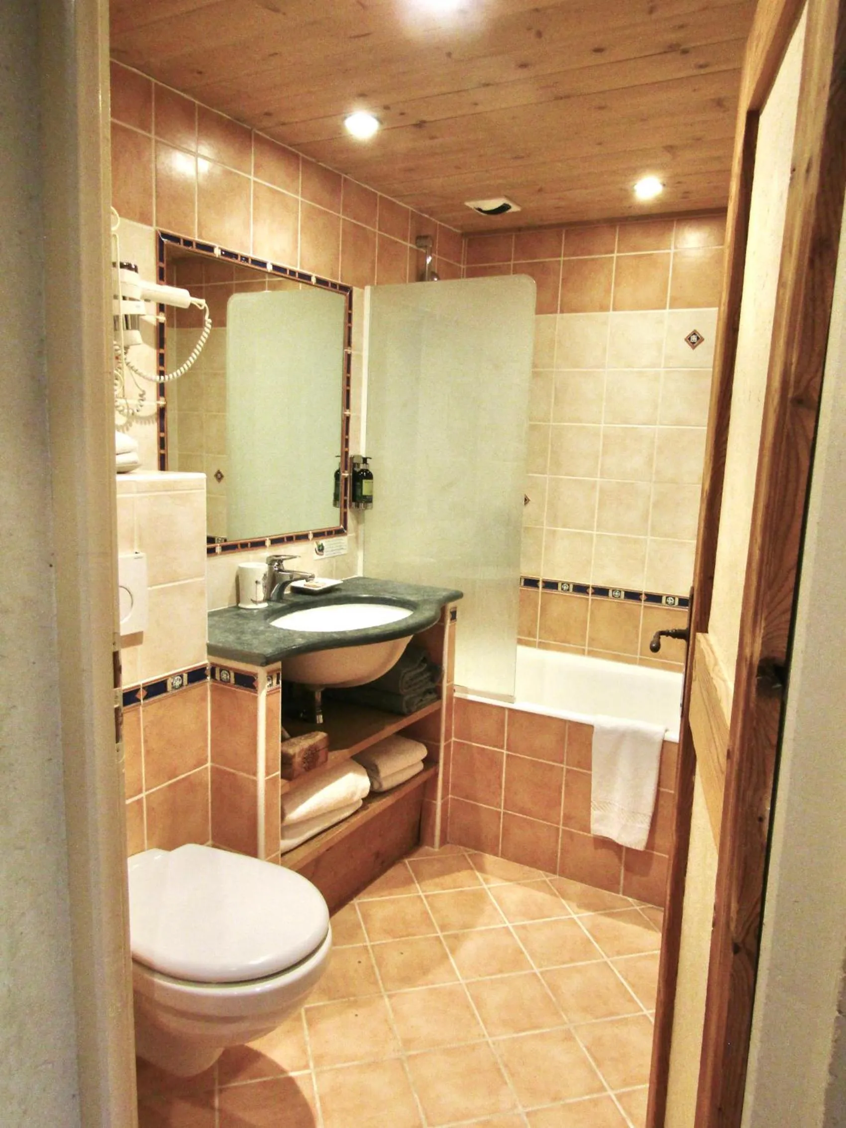 Toilet in Les Grands Montets Hotel & Spa