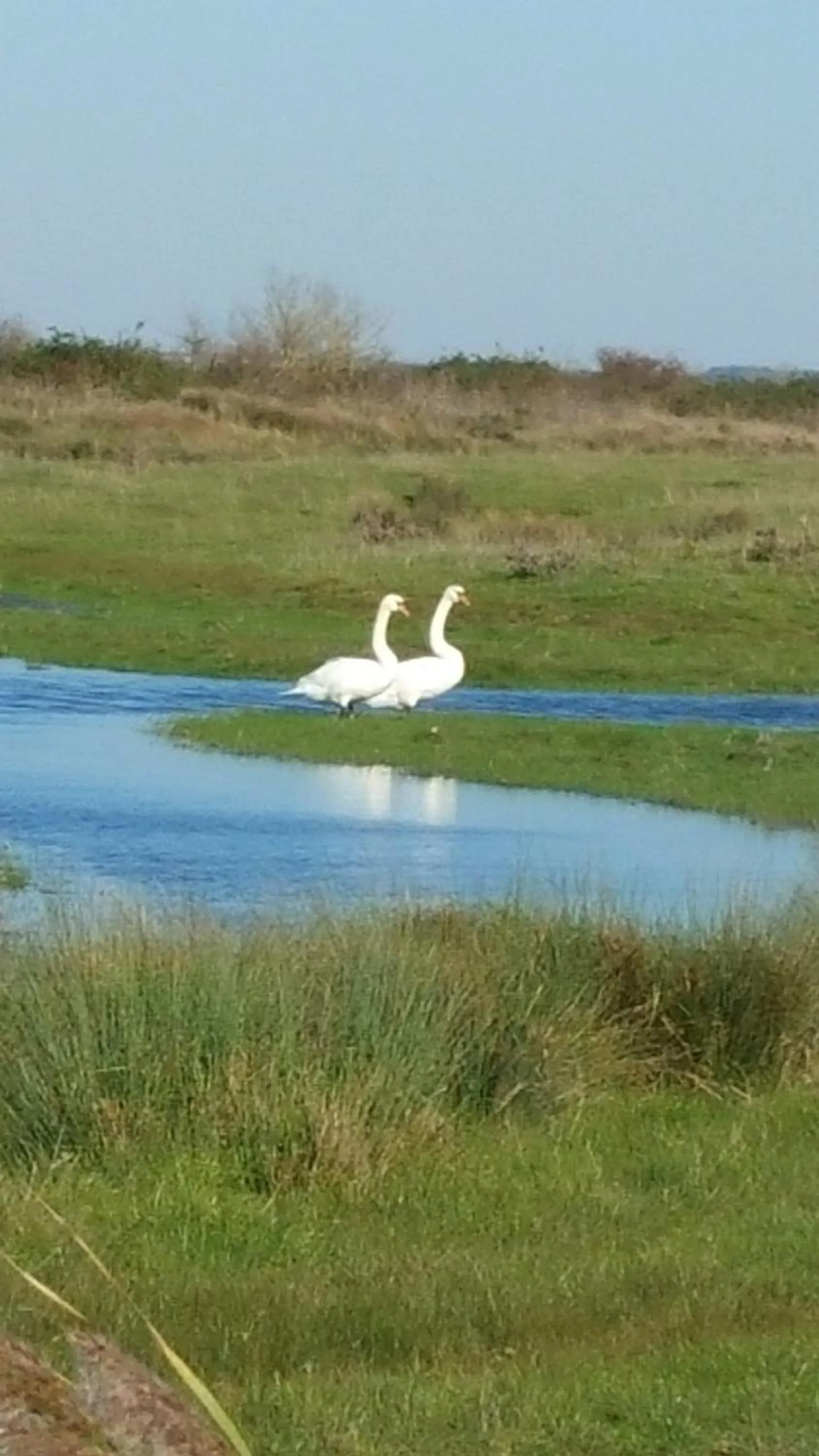 Spring in Hôtel Inn Design - Restaurant L'Escale