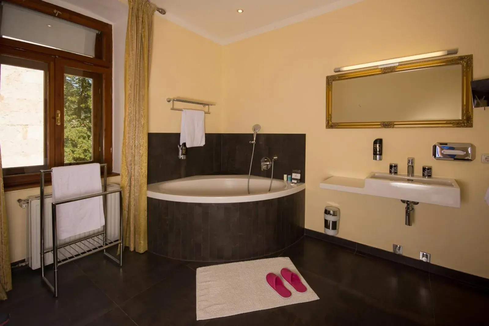 Double Room with Balcony Facing the Lake in Seehotel Grüner Baum Double Room with Balcony Facing the Lake in Seehotel Grüner Baum