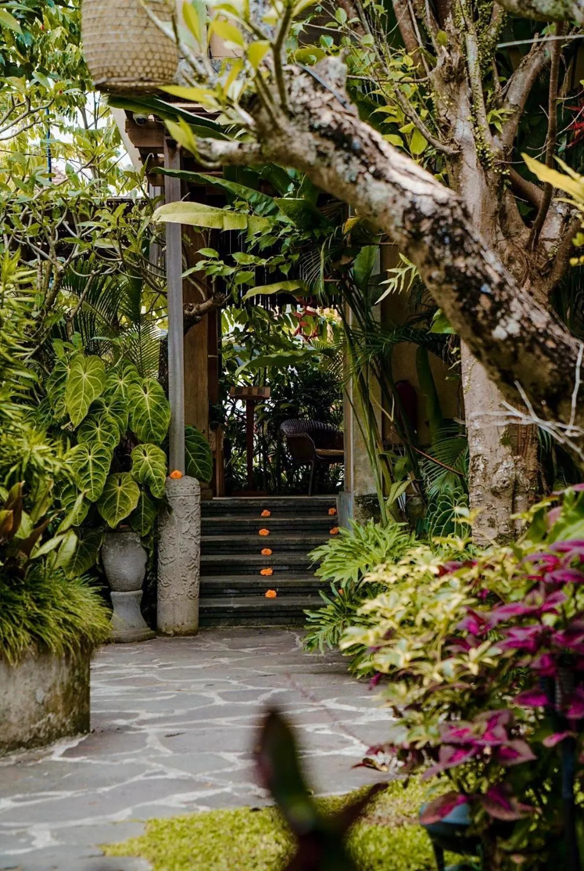 Lobby or reception in Vije Boutique Resort & Spa