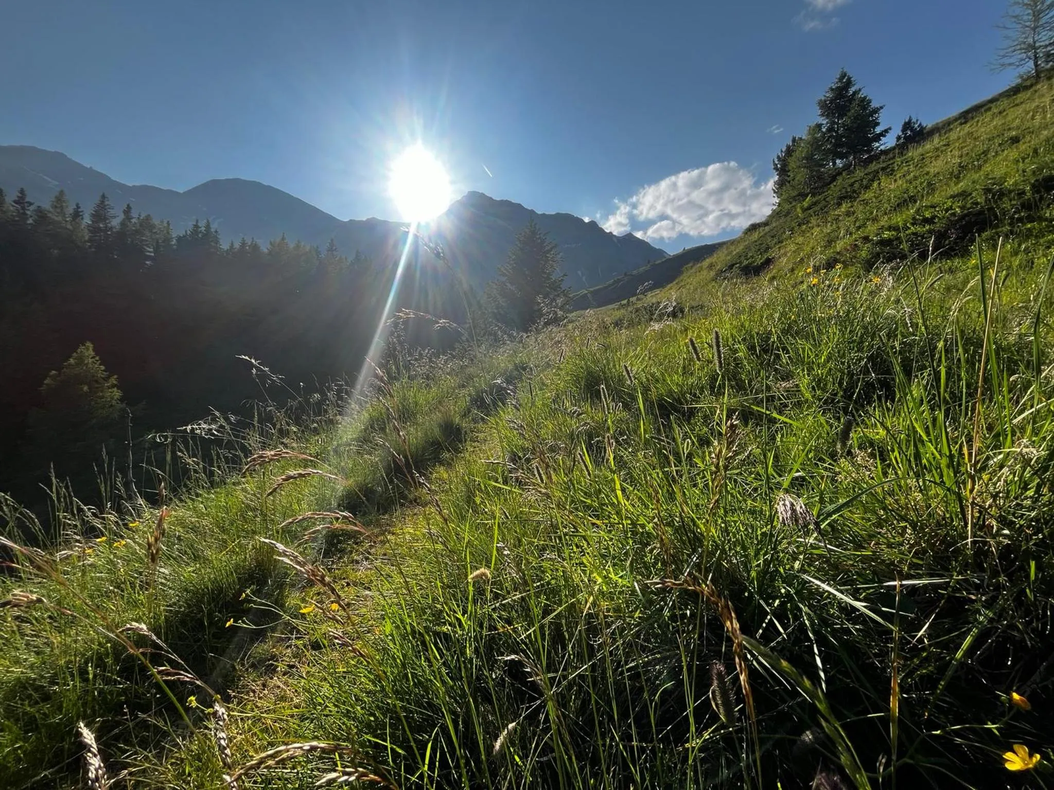 Spring in Apartments Hohenberger Mallnitz - Mein Platz in den Bergen!