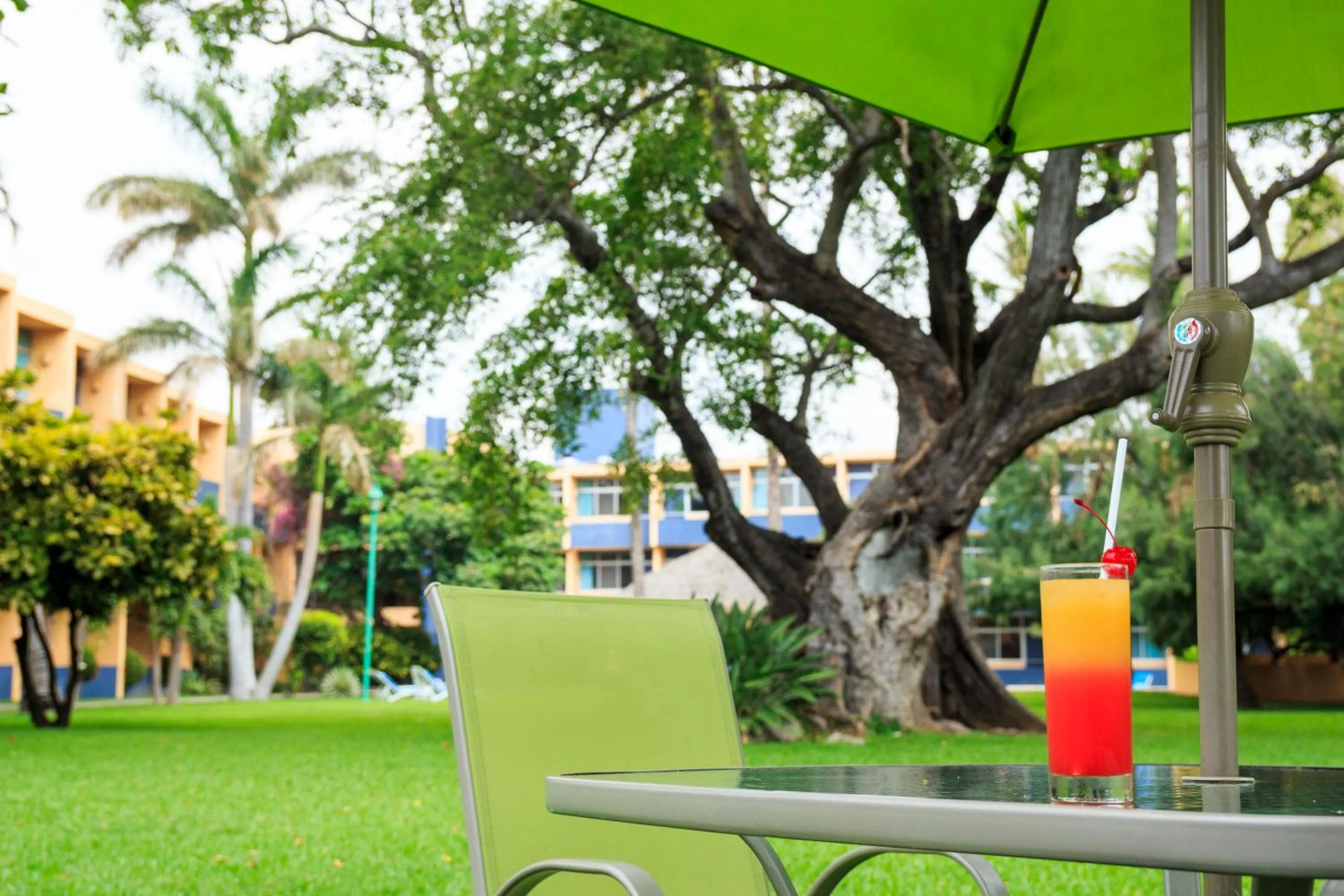 Alcoholic drinks in Hotel Calli