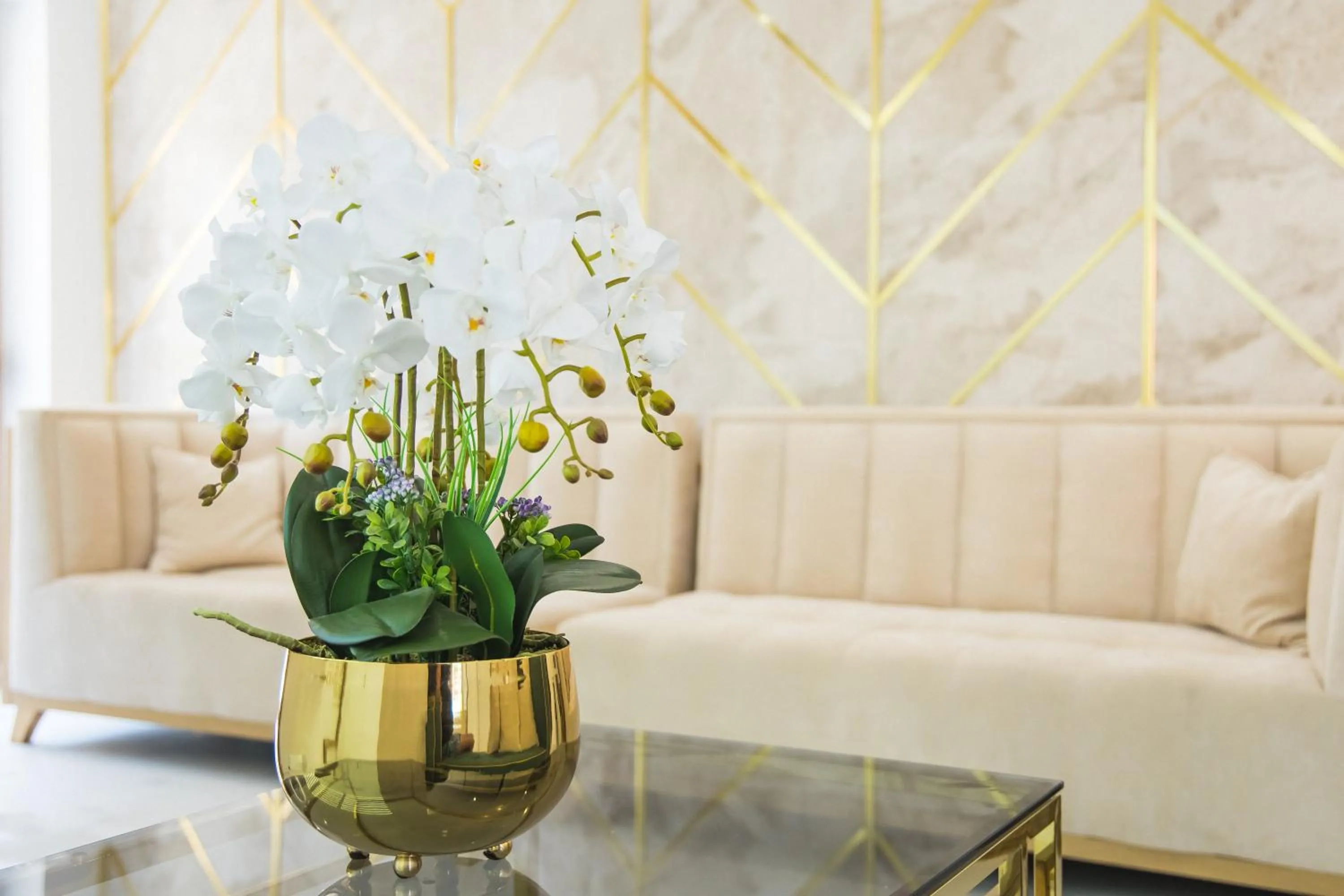 Lobby or reception in Hotel Zonya