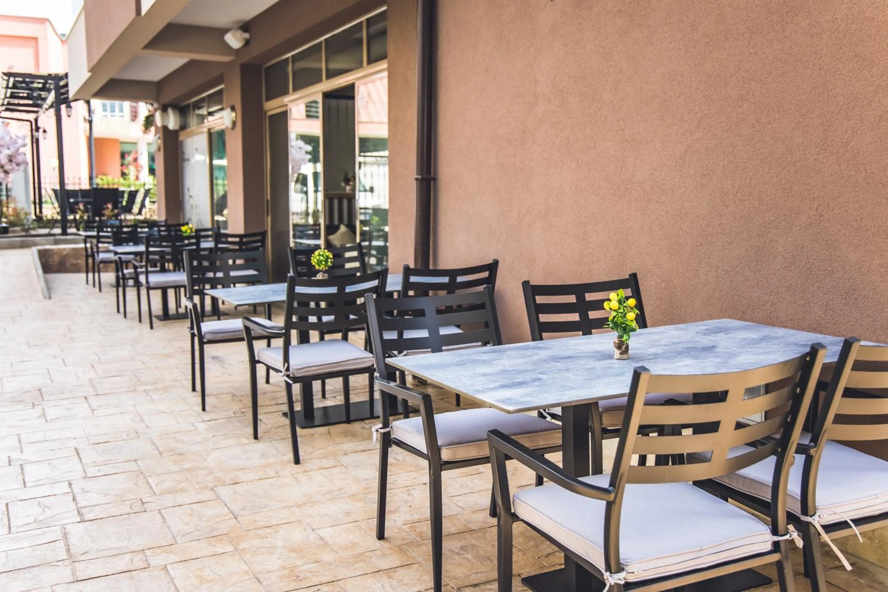 Restaurant/places to eat in Hotel Zonya