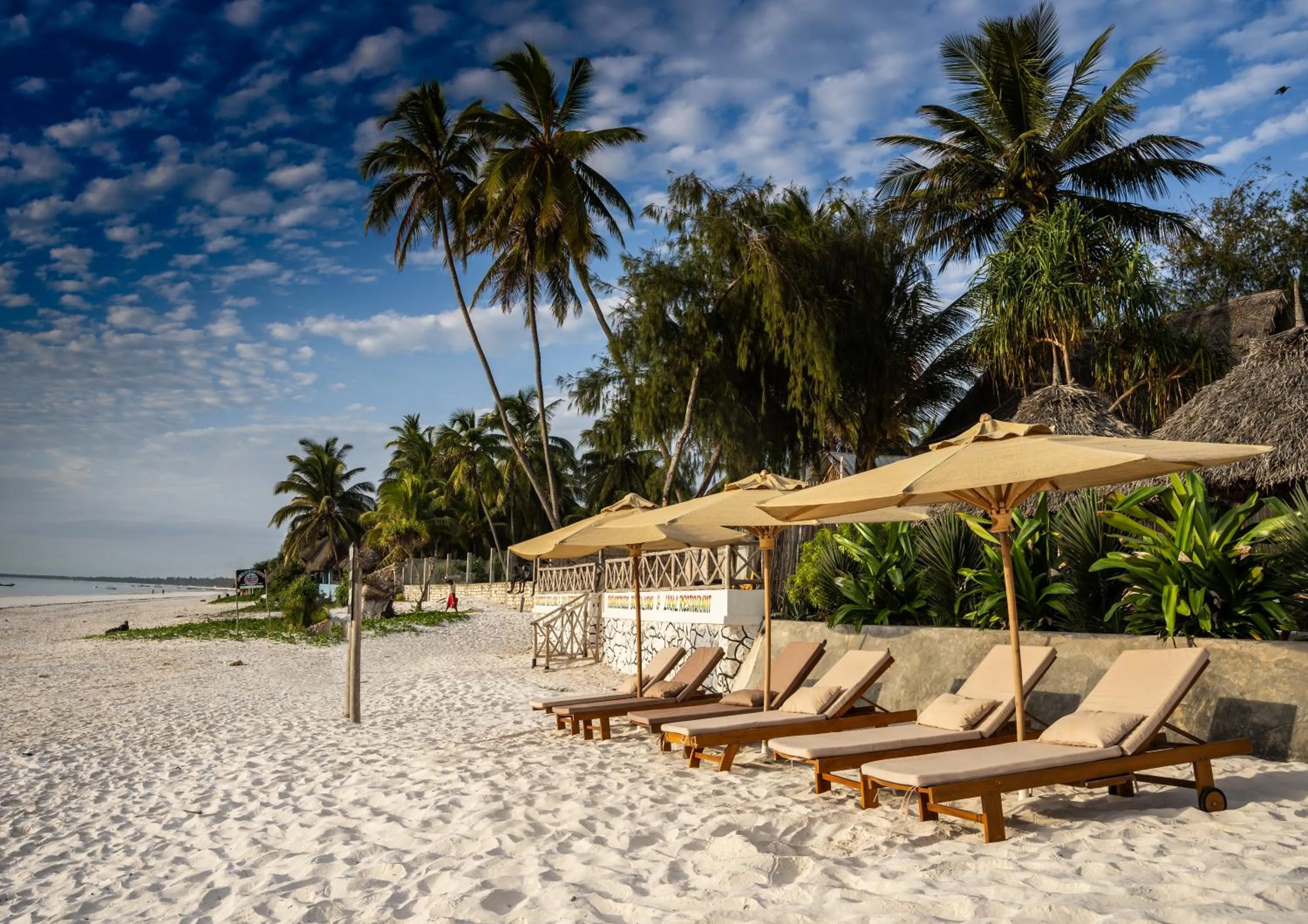 Beach in Alladin Boutique Beach Hotel and SPA Zanzibar