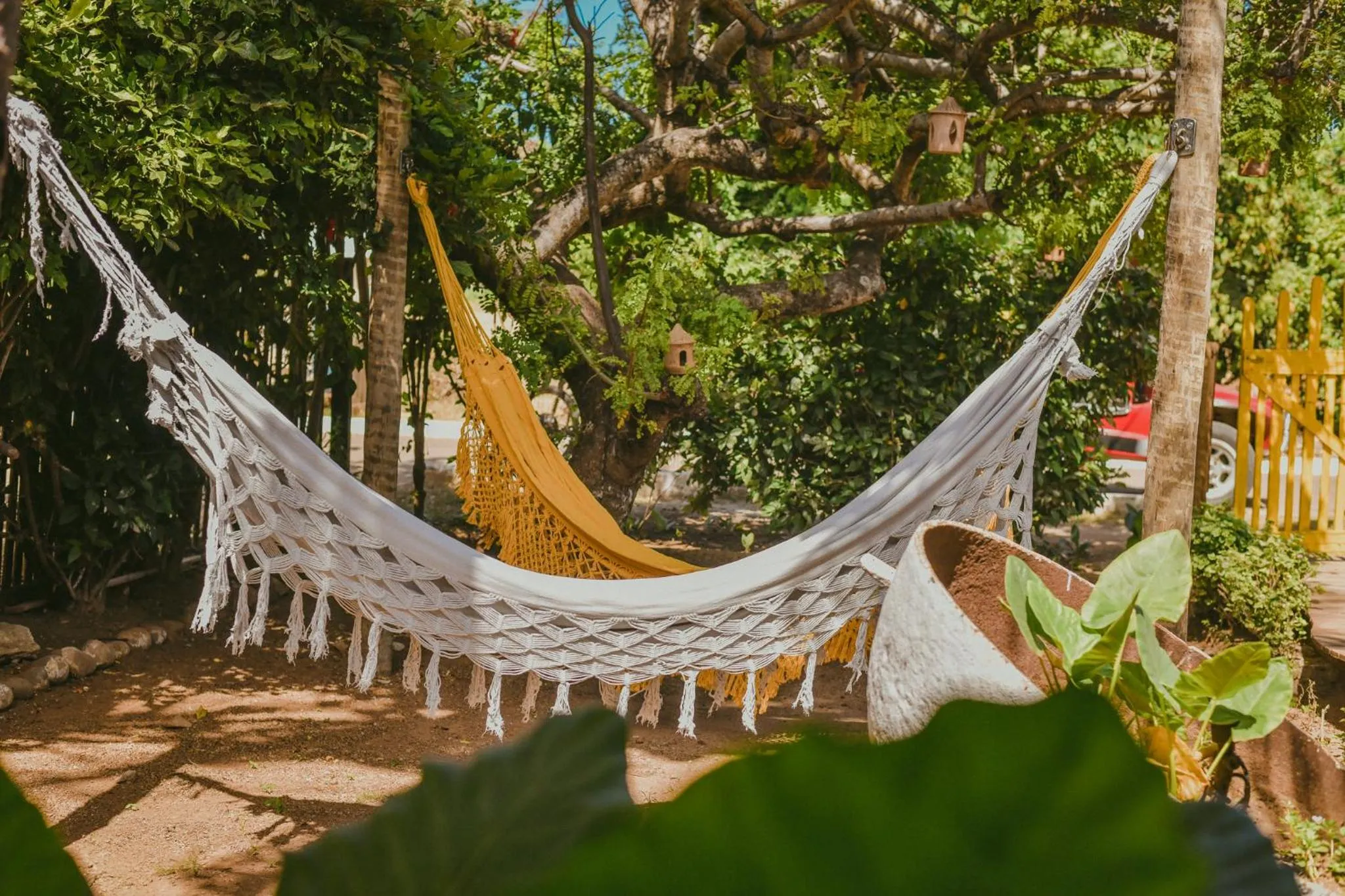 Garden in EcoCharme Pousada Netuno