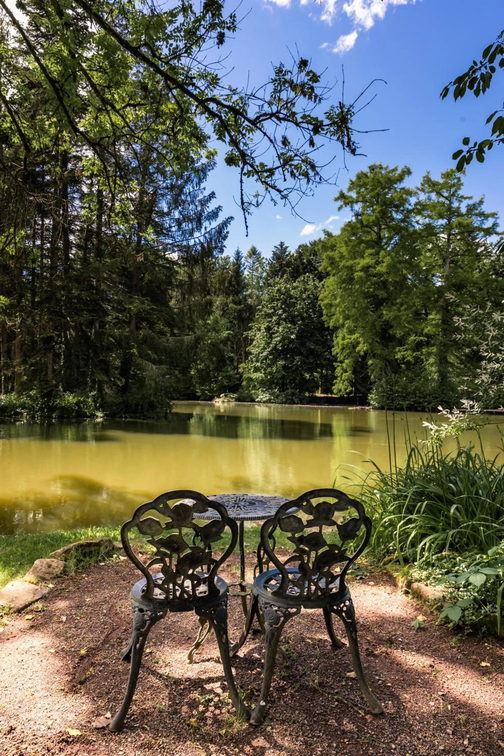 Garden in Hotel Dammenmühle
