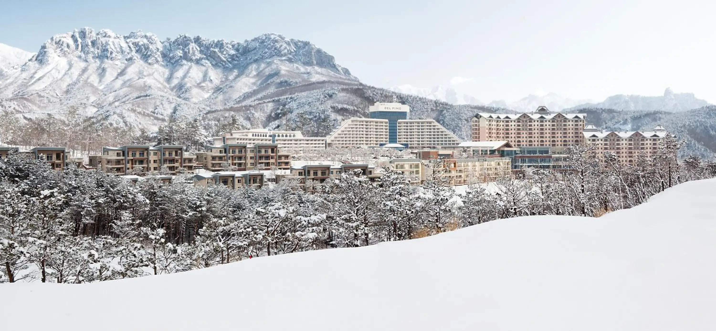 Sono Felice Delpino Sono Felice Delpino