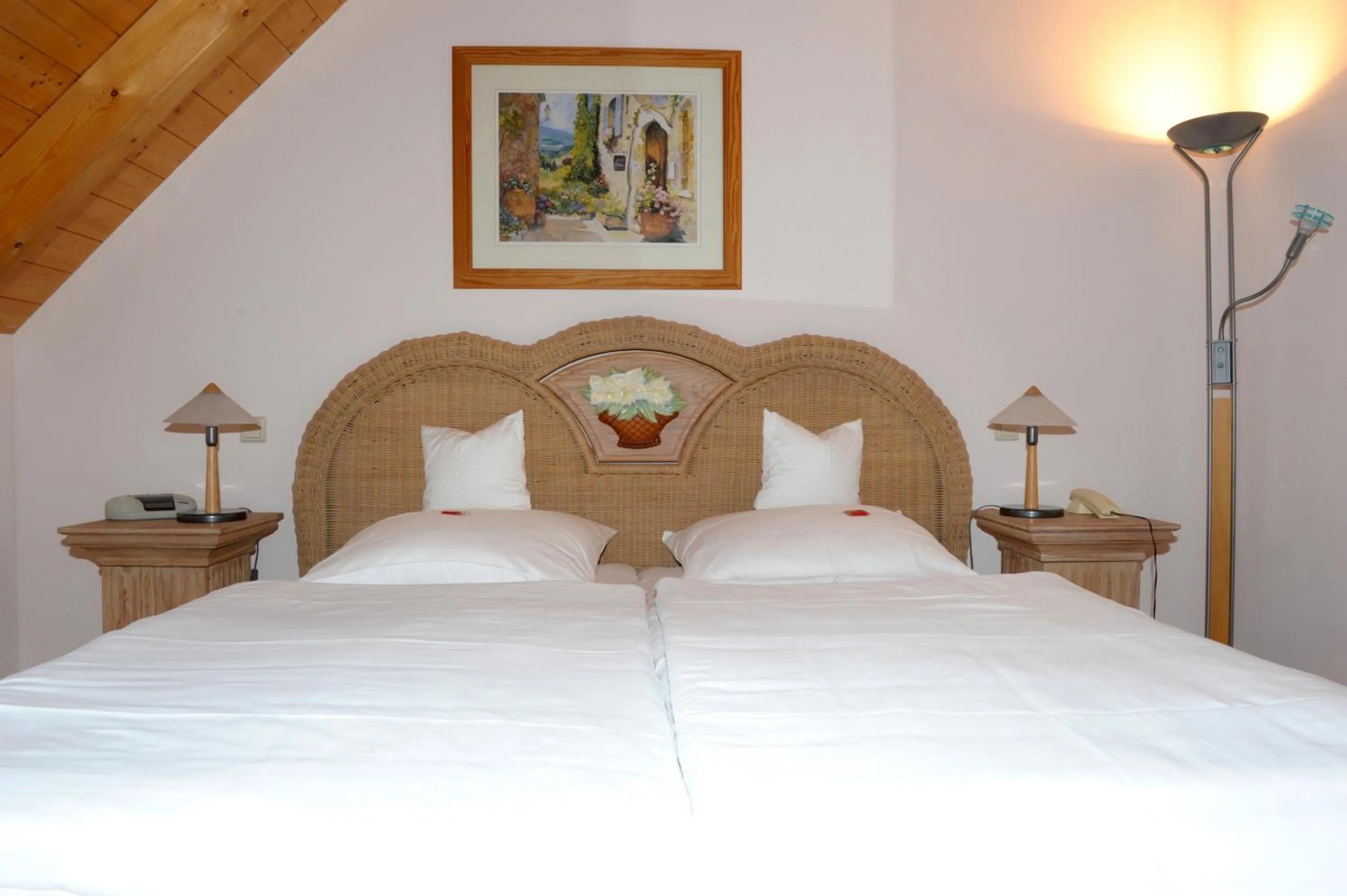 Photo of the whole room in Hotel Sarbacher