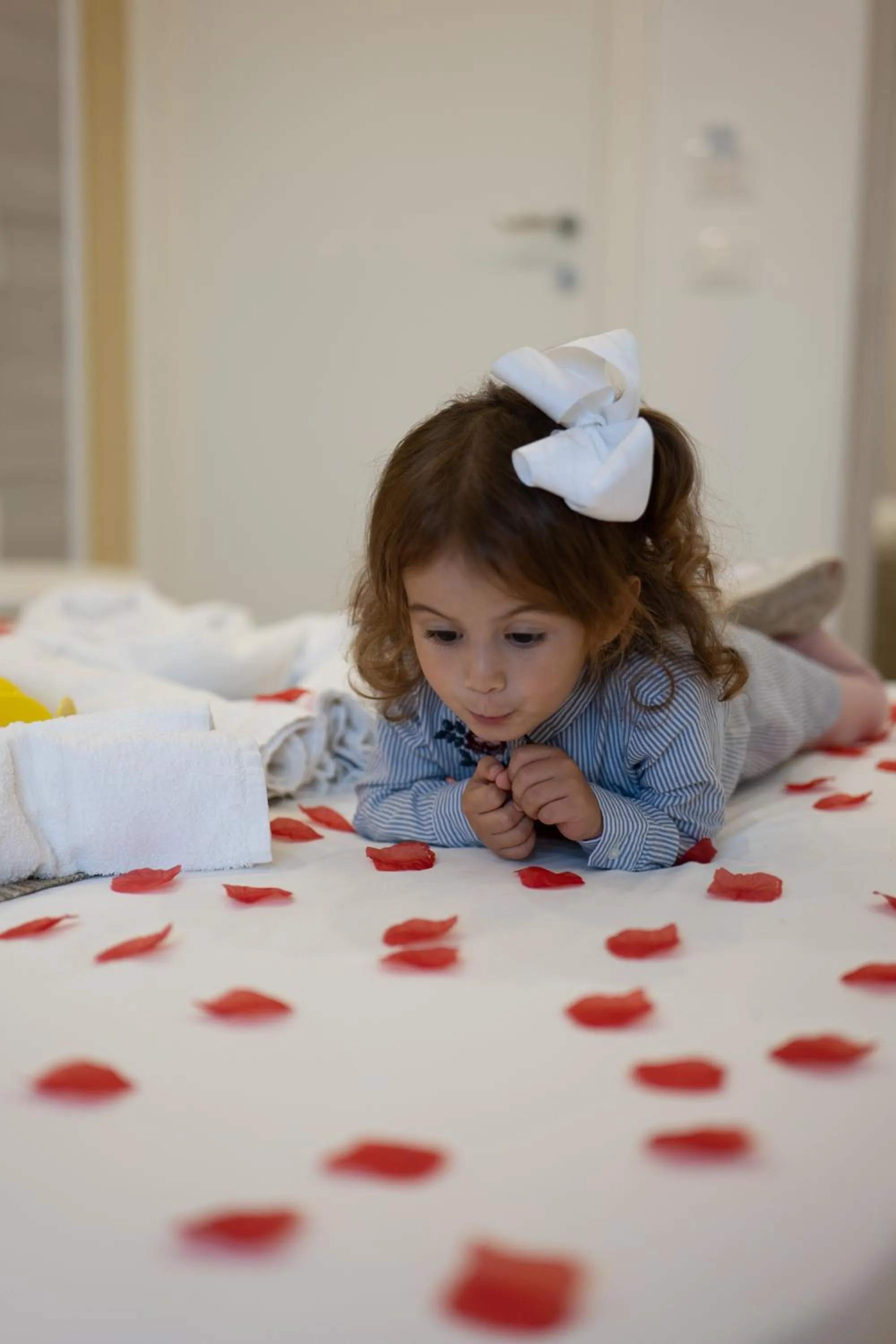 Other in B&B Jerocades