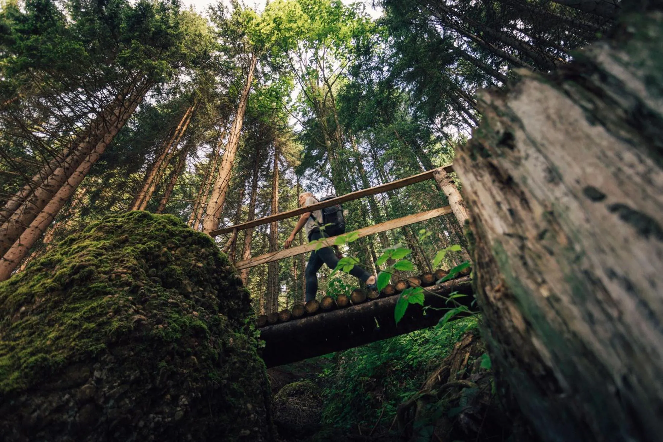 Activities in Torghele's Wald & Fluh