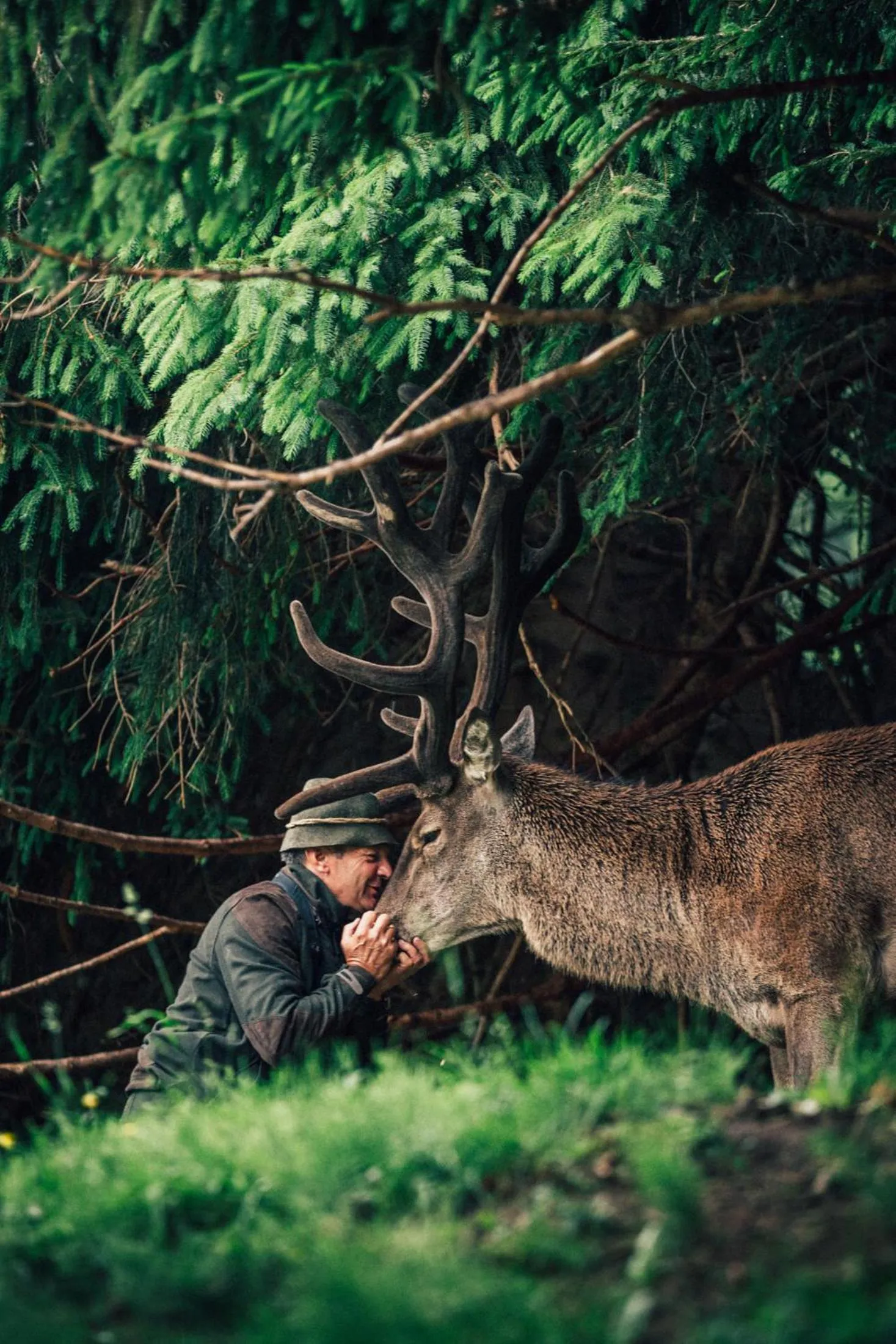 Animals in Torghele's Wald & Fluh