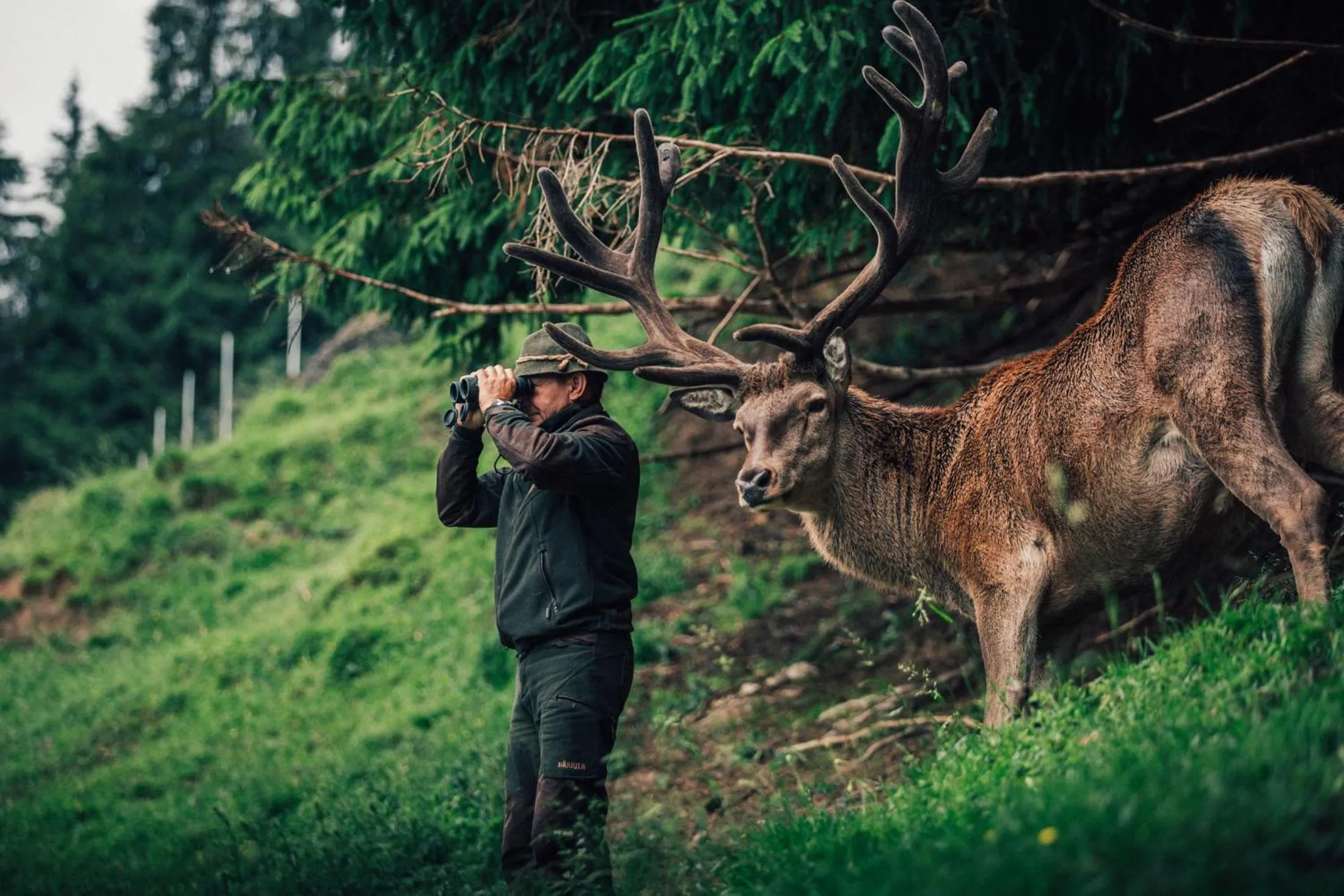 Natural landscape in Torghele's Wald & Fluh
