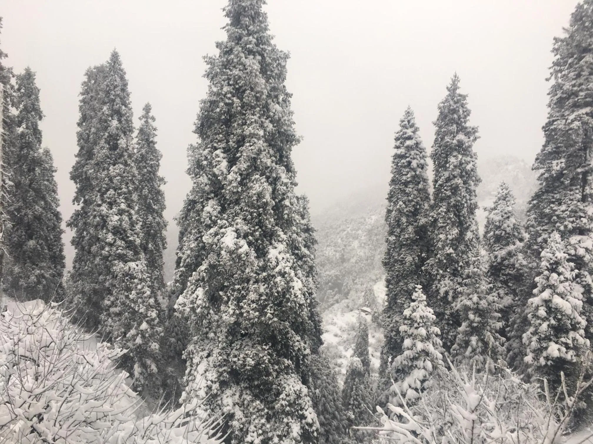 Natural landscape in LA Riqueza Kanatal - Mountain View Rooms - Best Location - Amazing Food - Close to Jungle Safari & Adventure Activities