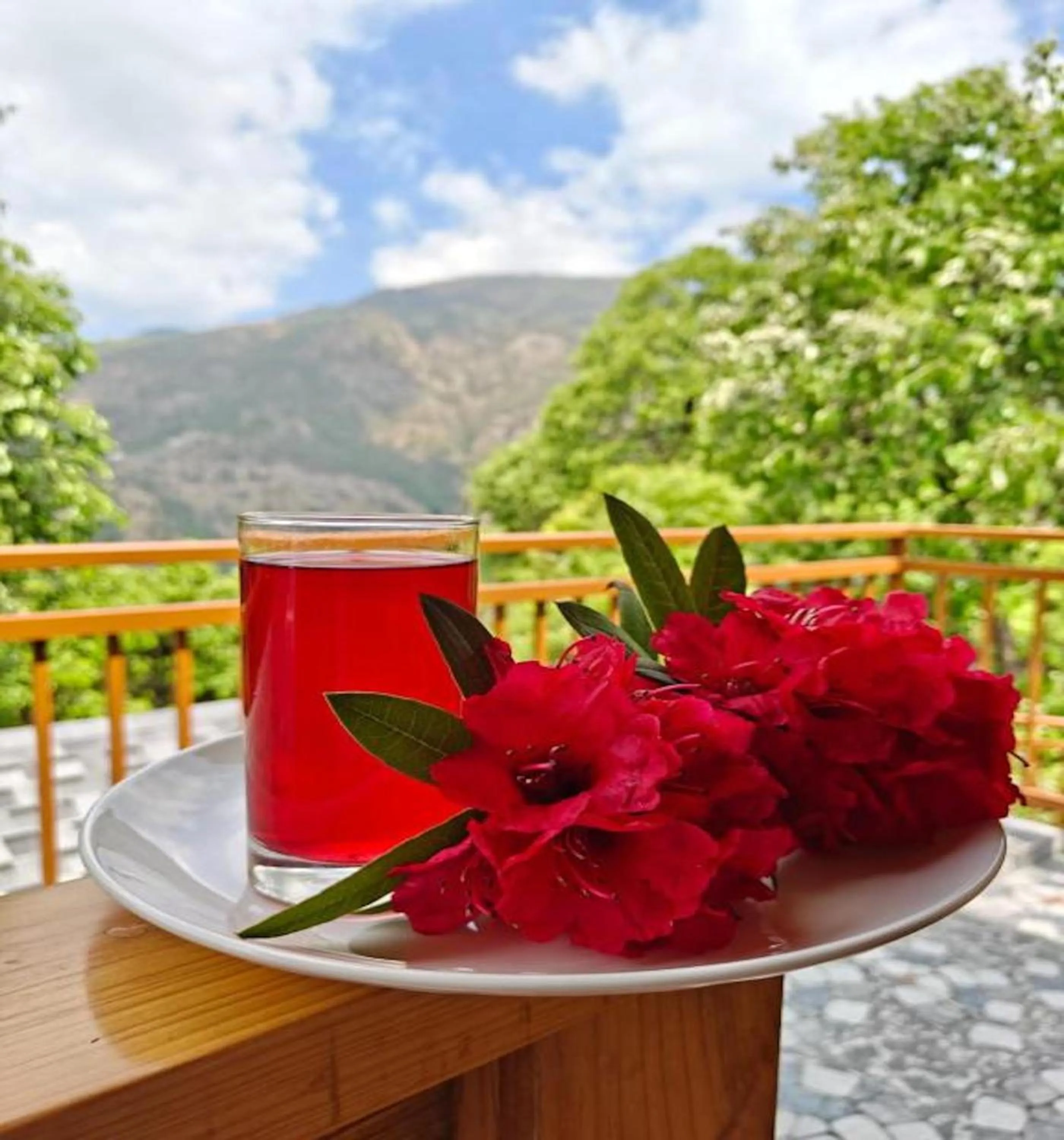 View (from property/room) in LA Riqueza Kanatal - Mountain View Rooms - Best Location - Amazing Food - Close to Jungle Safari & Adventure Activities