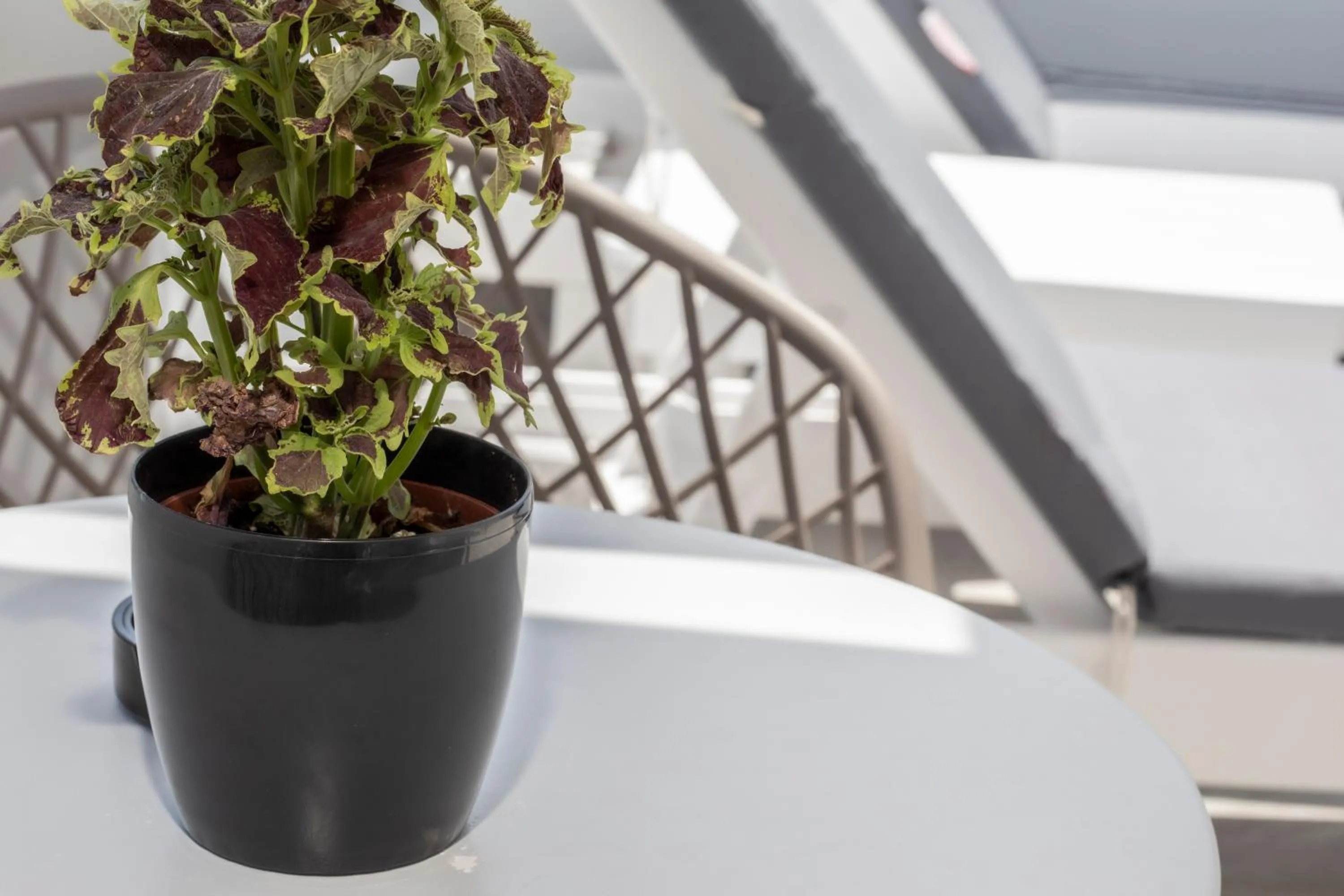 Location in Petra Aqua Villa