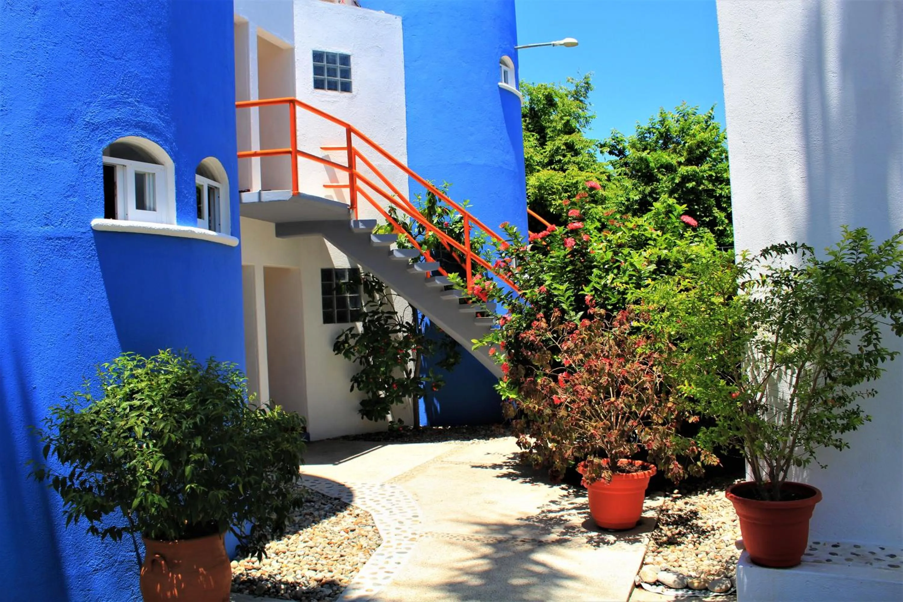 Garden in Hotel Mexico Lindo