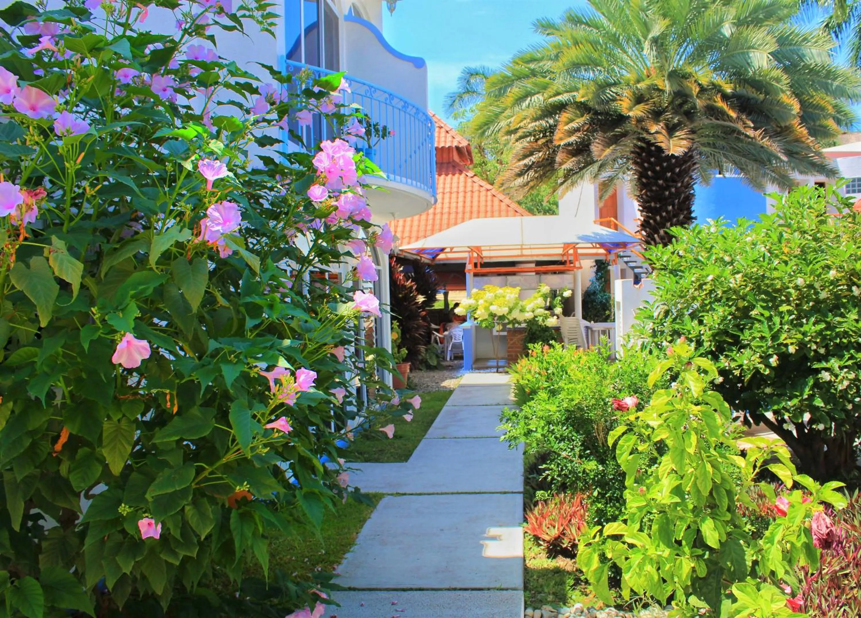 Garden in Hotel Mexico Lindo