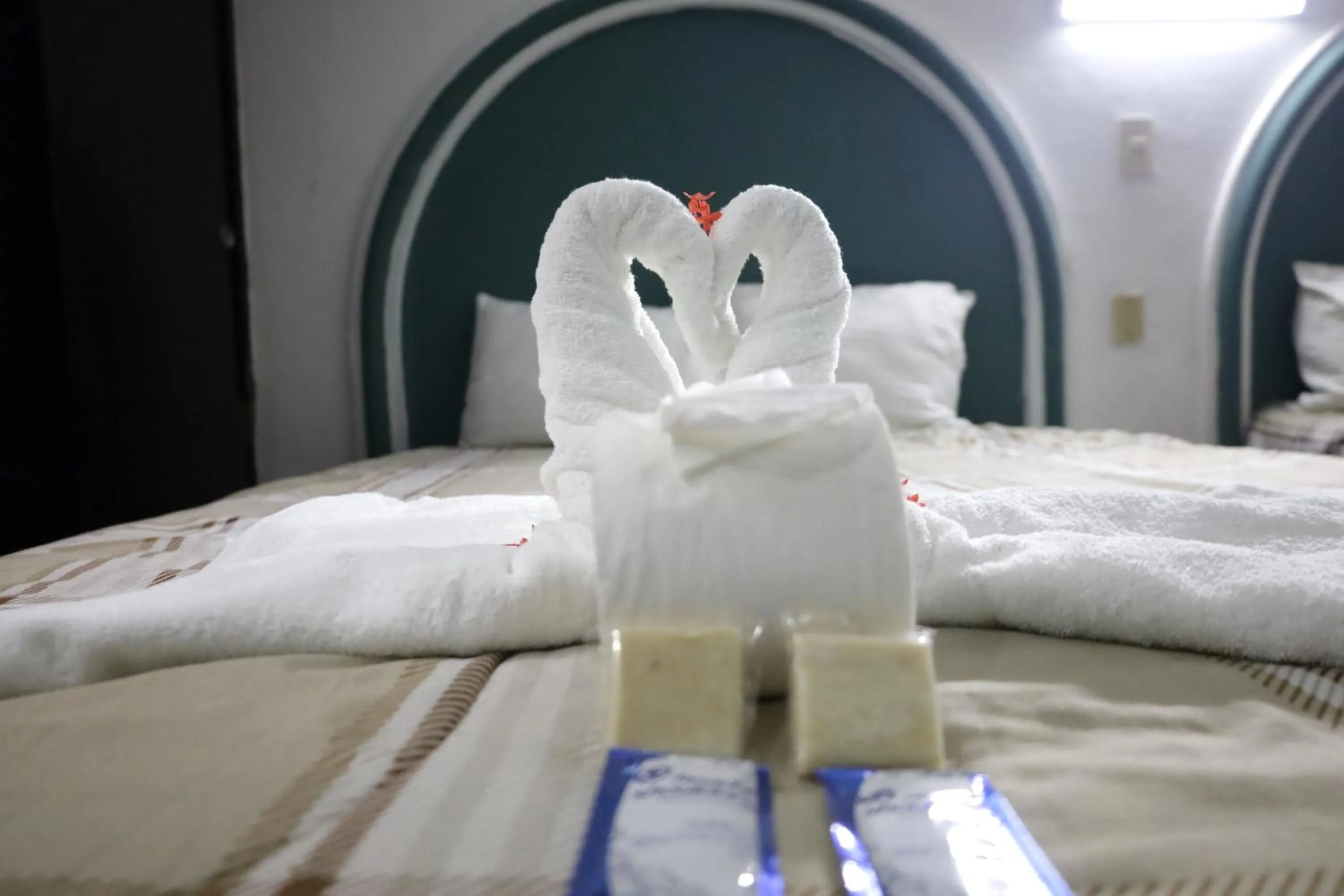 HC International by R&T