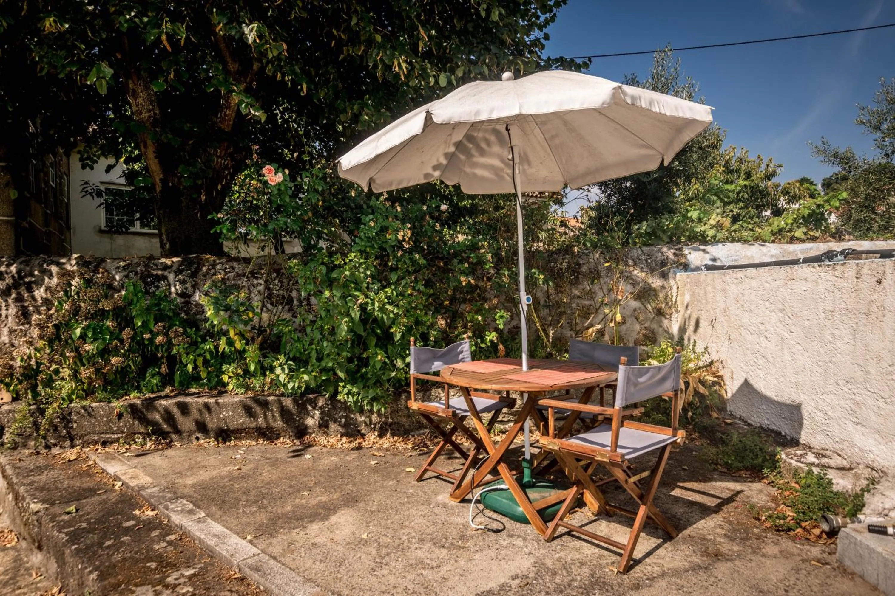 Garden in Solar dos Carvalhos