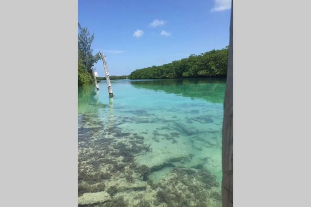 Depa de 3 habs, 3 baños y piscina (Zona Hotelera)