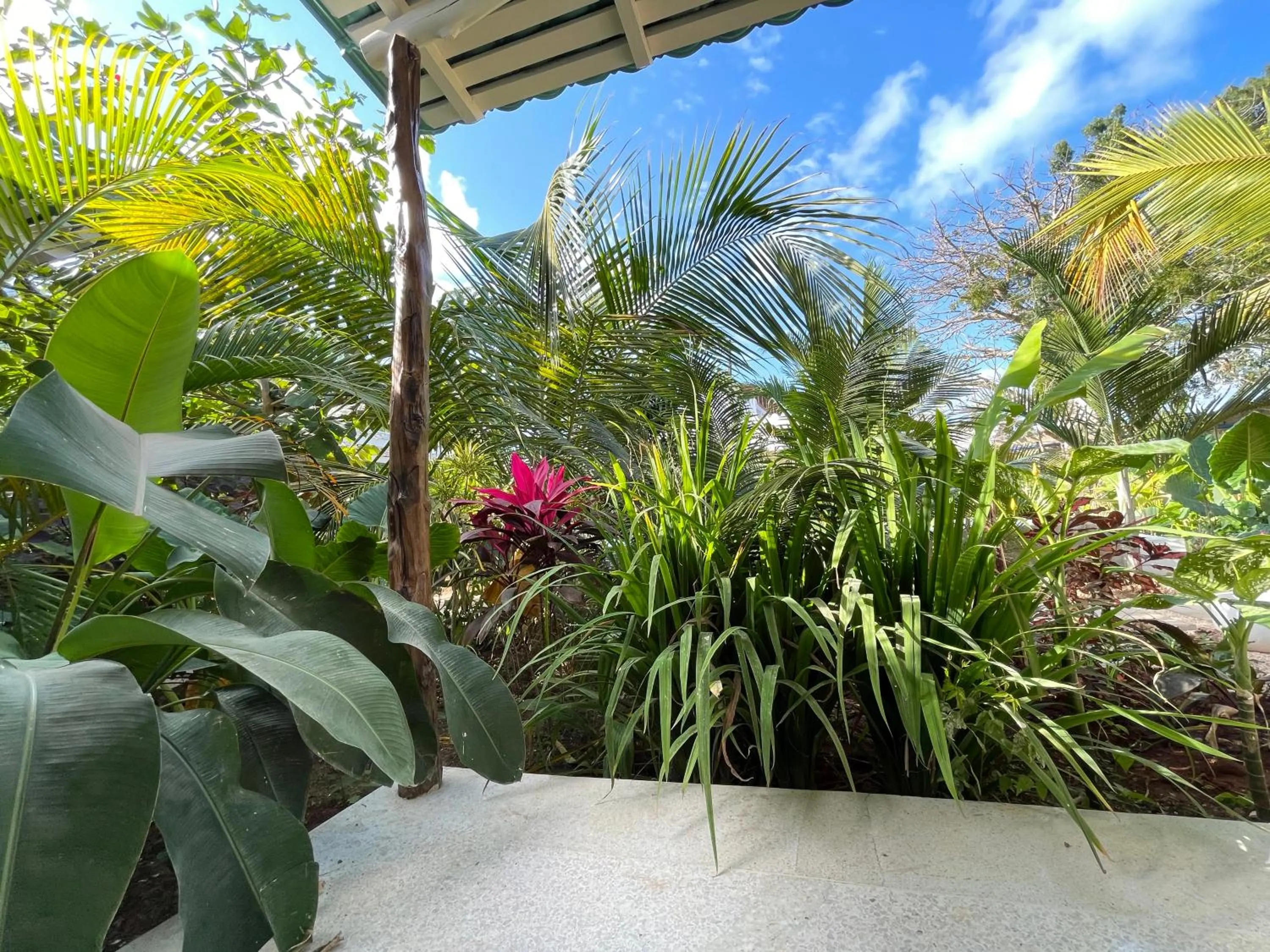 Garden in Gaia Villas
