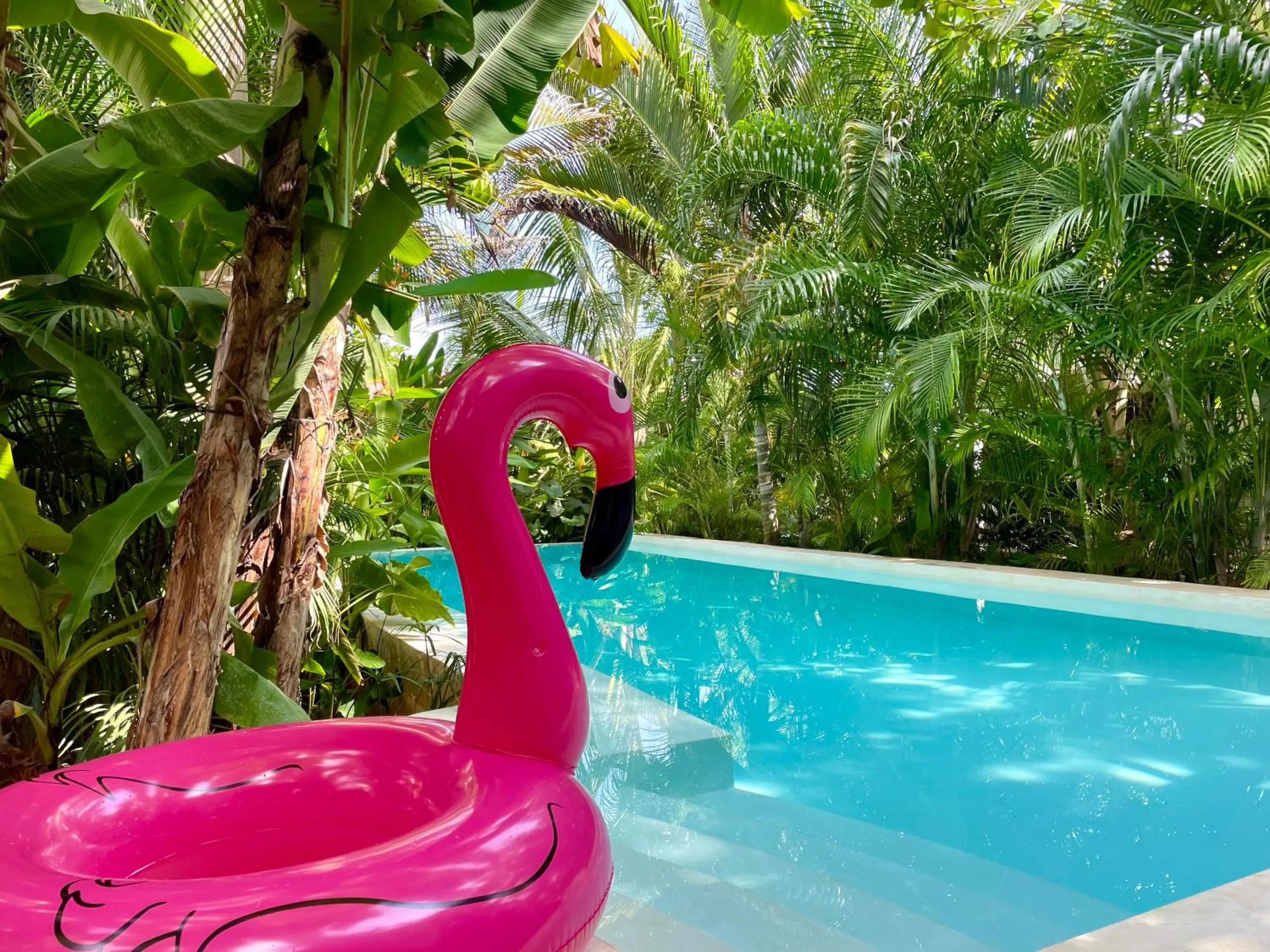 Garden in Gaia Villas