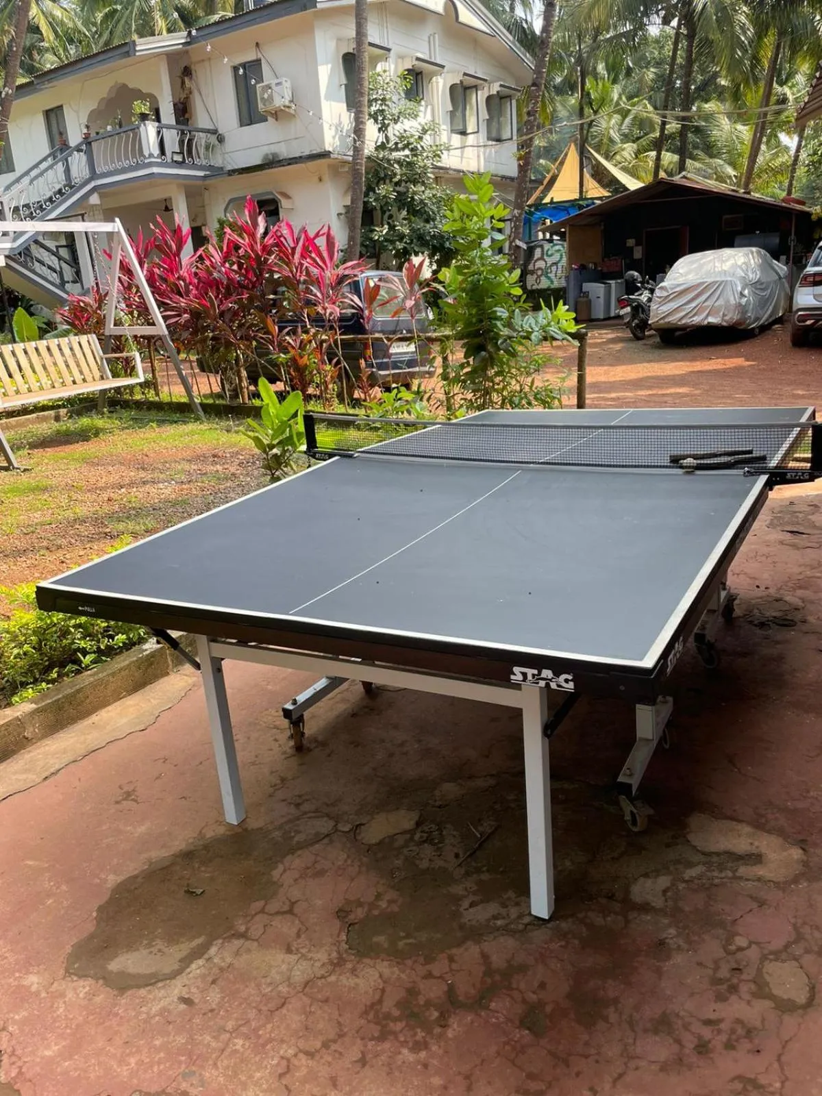 Table tennis in Piccolo Dreams