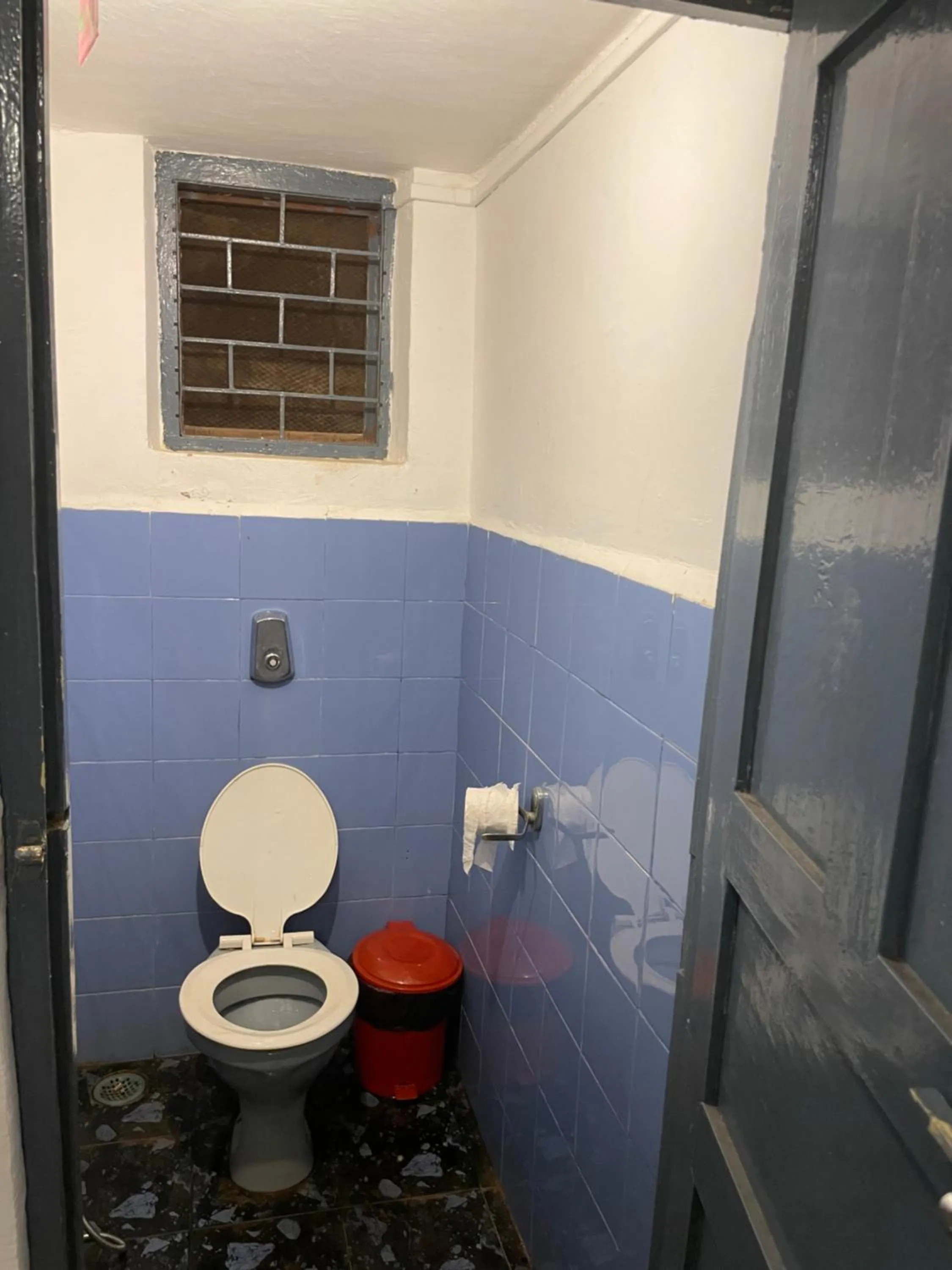 Toilet in Piccolo Dreams