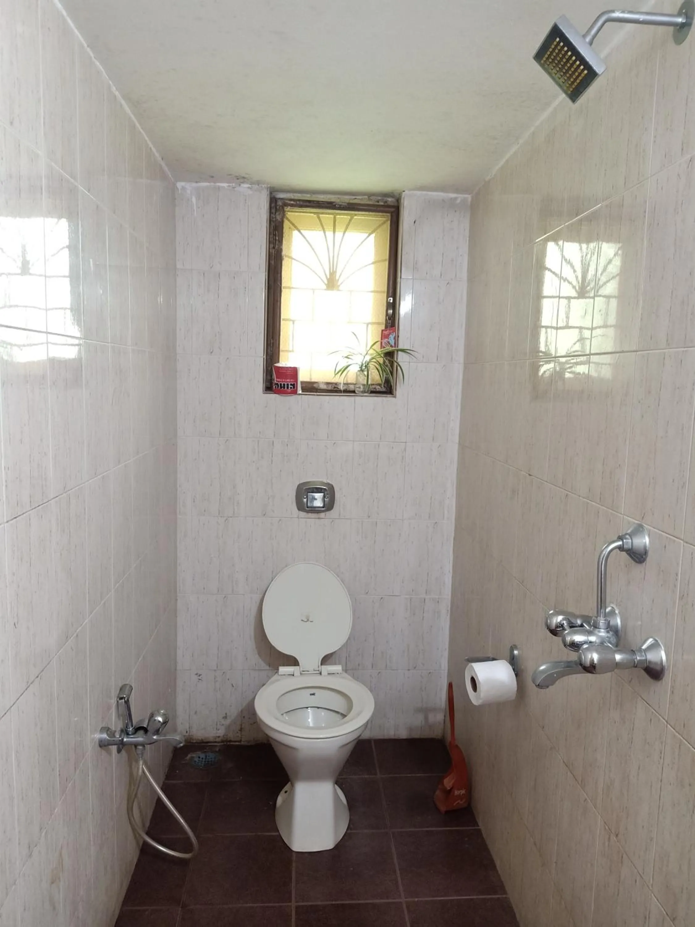 Toilet in Piccolo Dreams