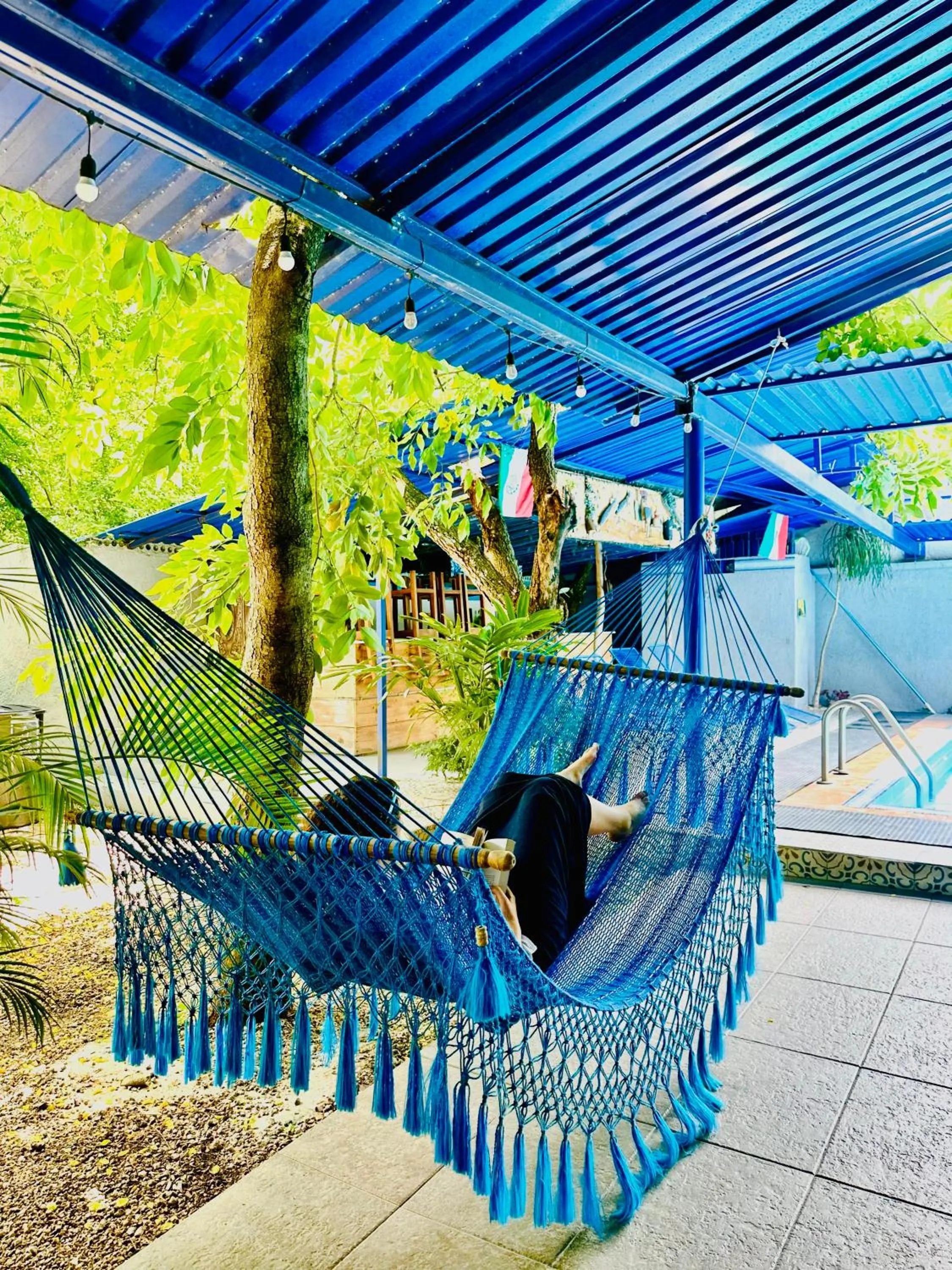 Garden in The Blue Eco Lodge