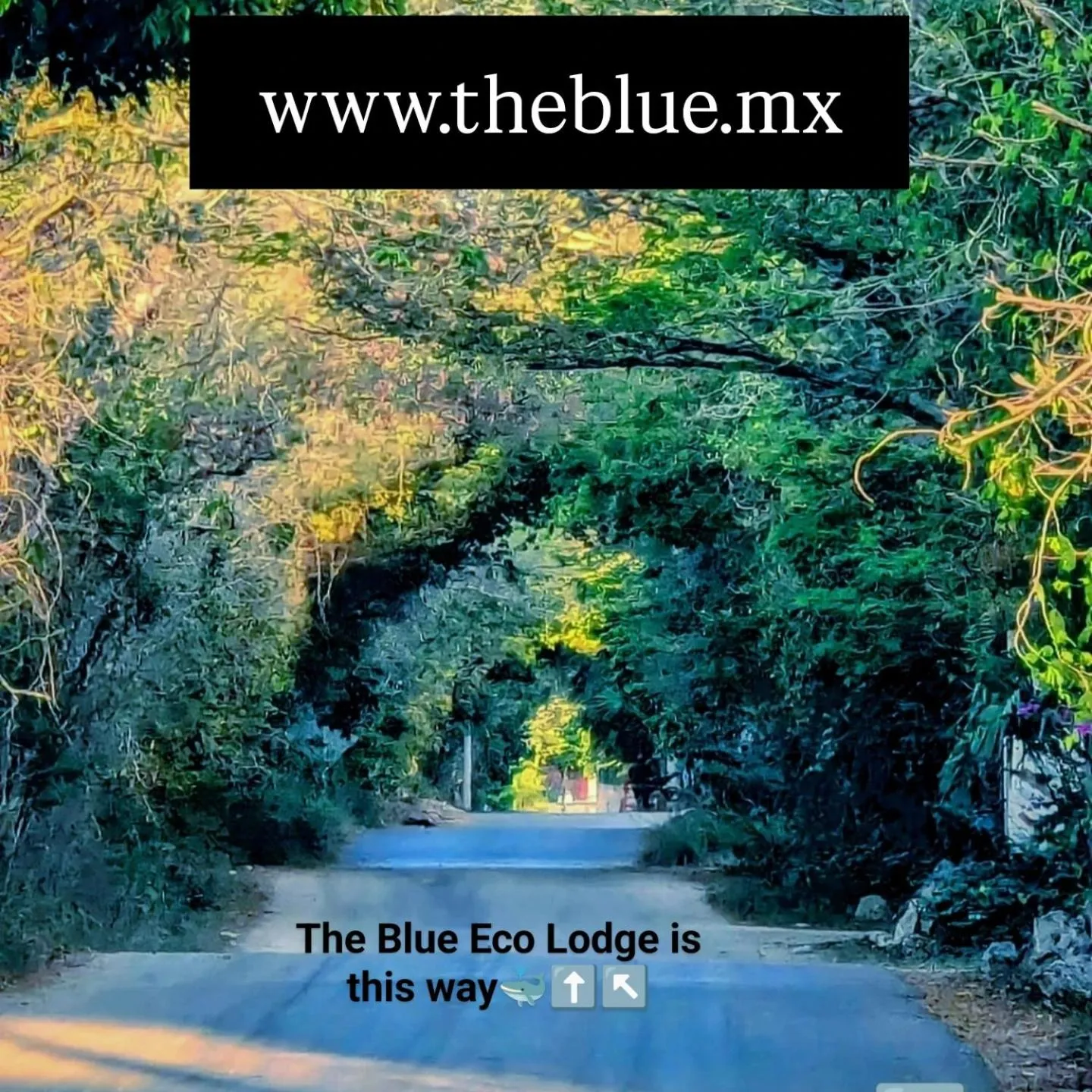 Street view in The Blue Eco Lodge