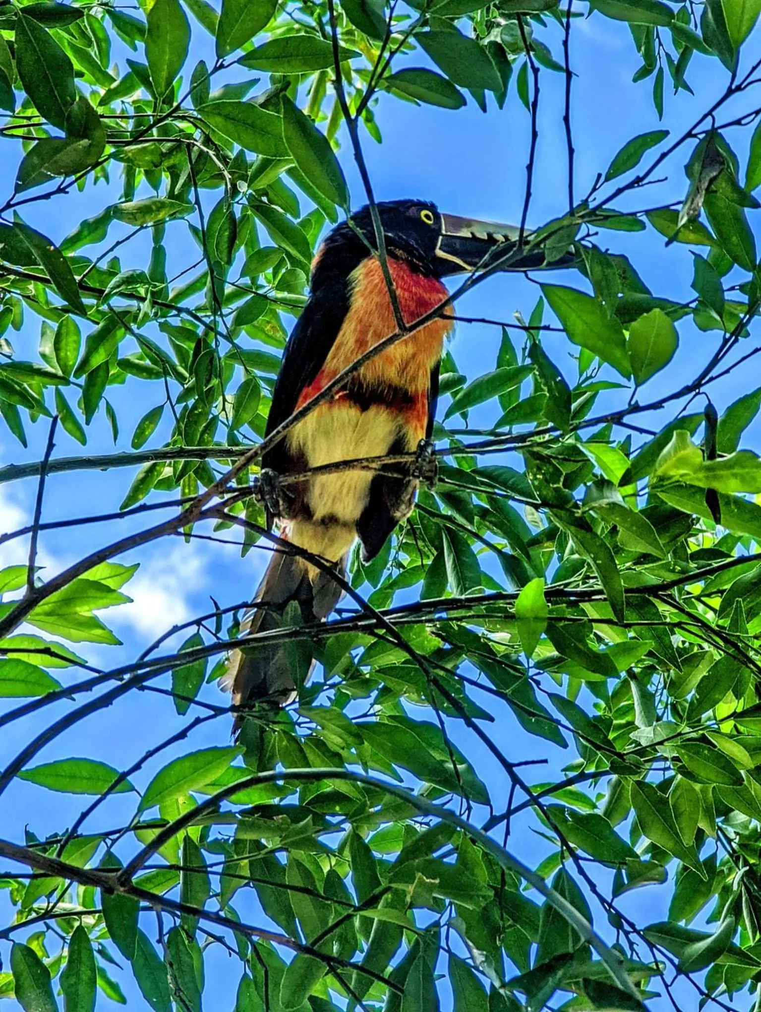 Natural landscape in The Blue Eco Lodge