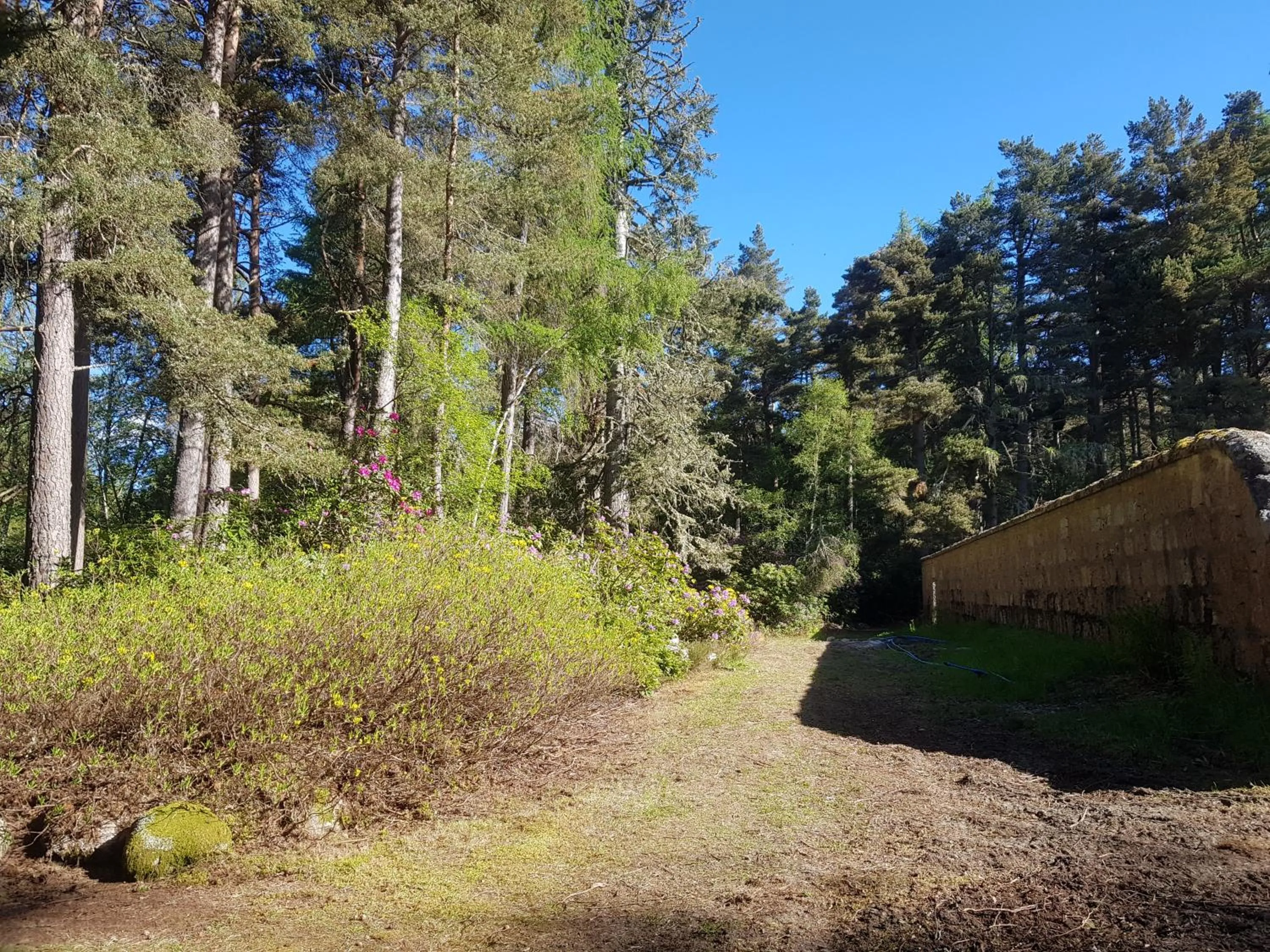 Natural landscape in Cambus O' May Traditional Highland Hotel