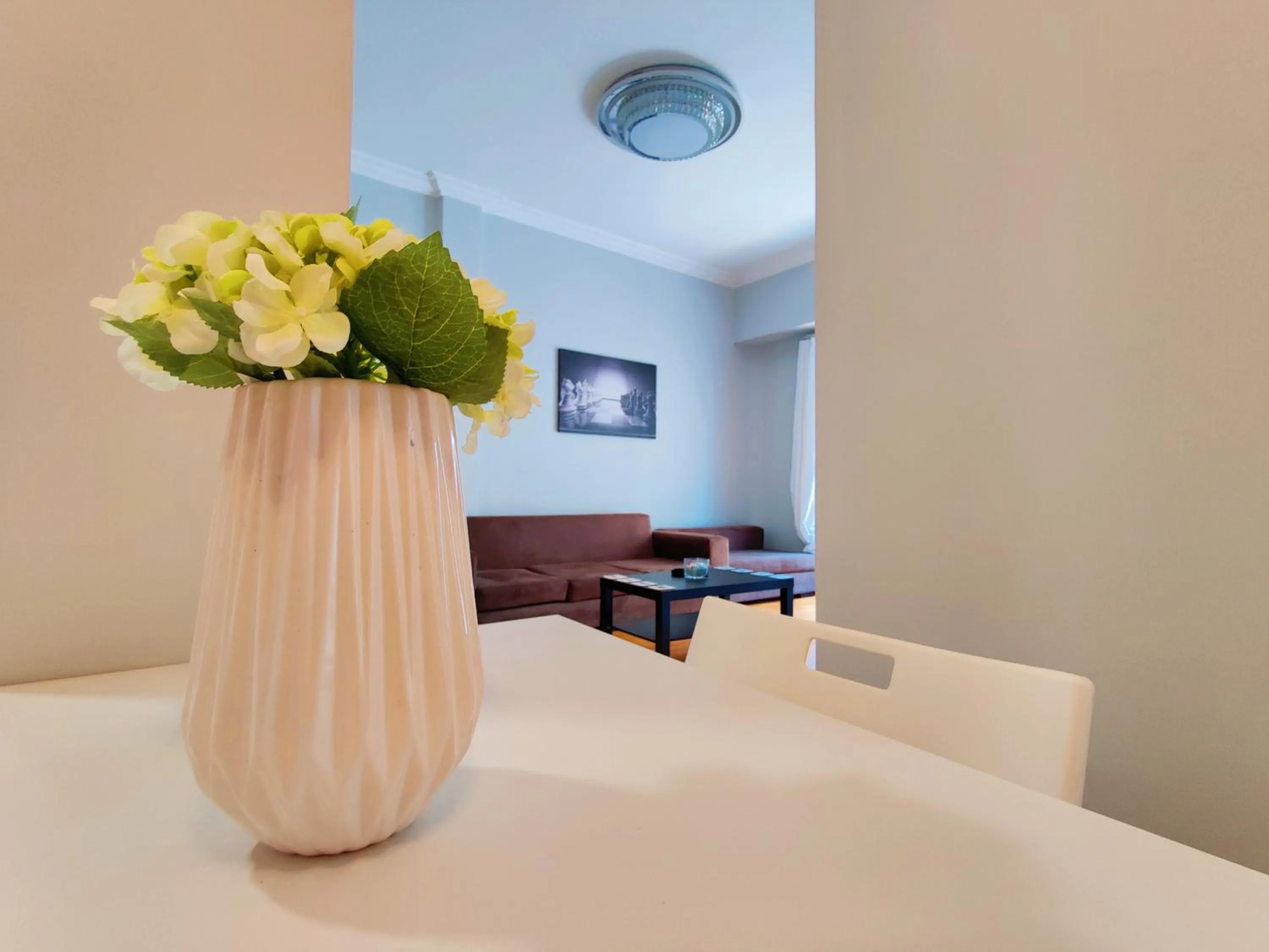 Living room in WSD Brand Cozy 2BD with Balcony near Acropolis