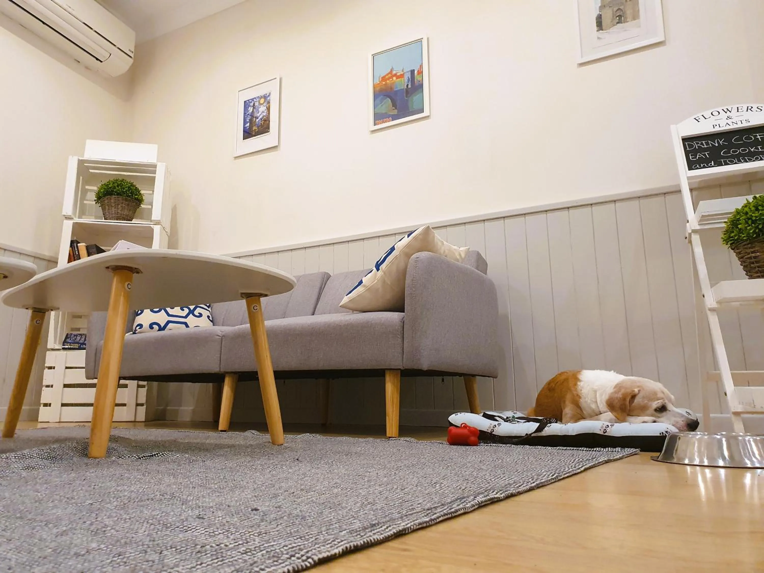 Animals in ToledoRooms Palacios