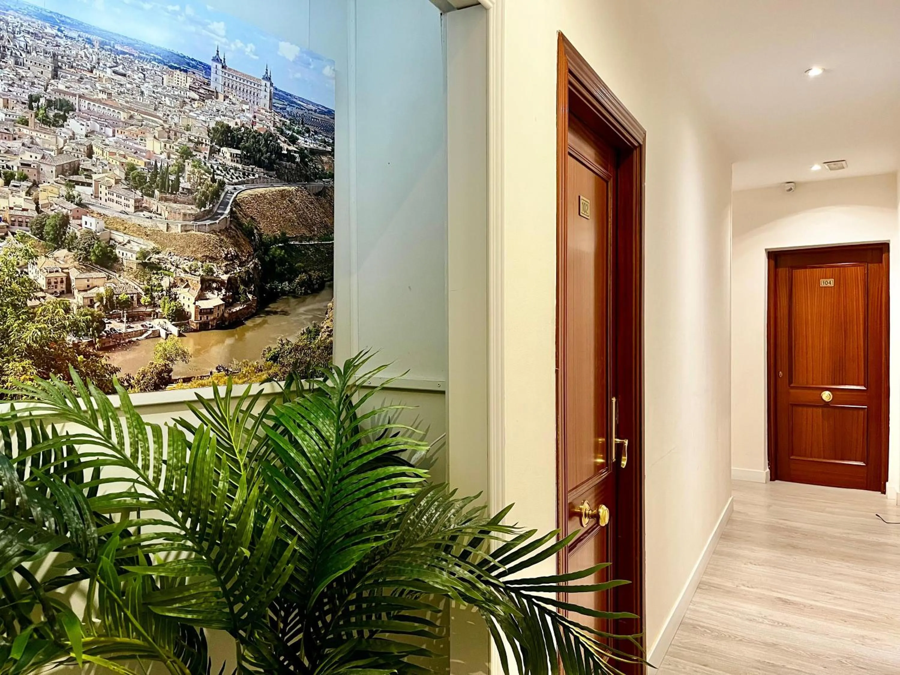 Area and facilities in ToledoRooms Palacios