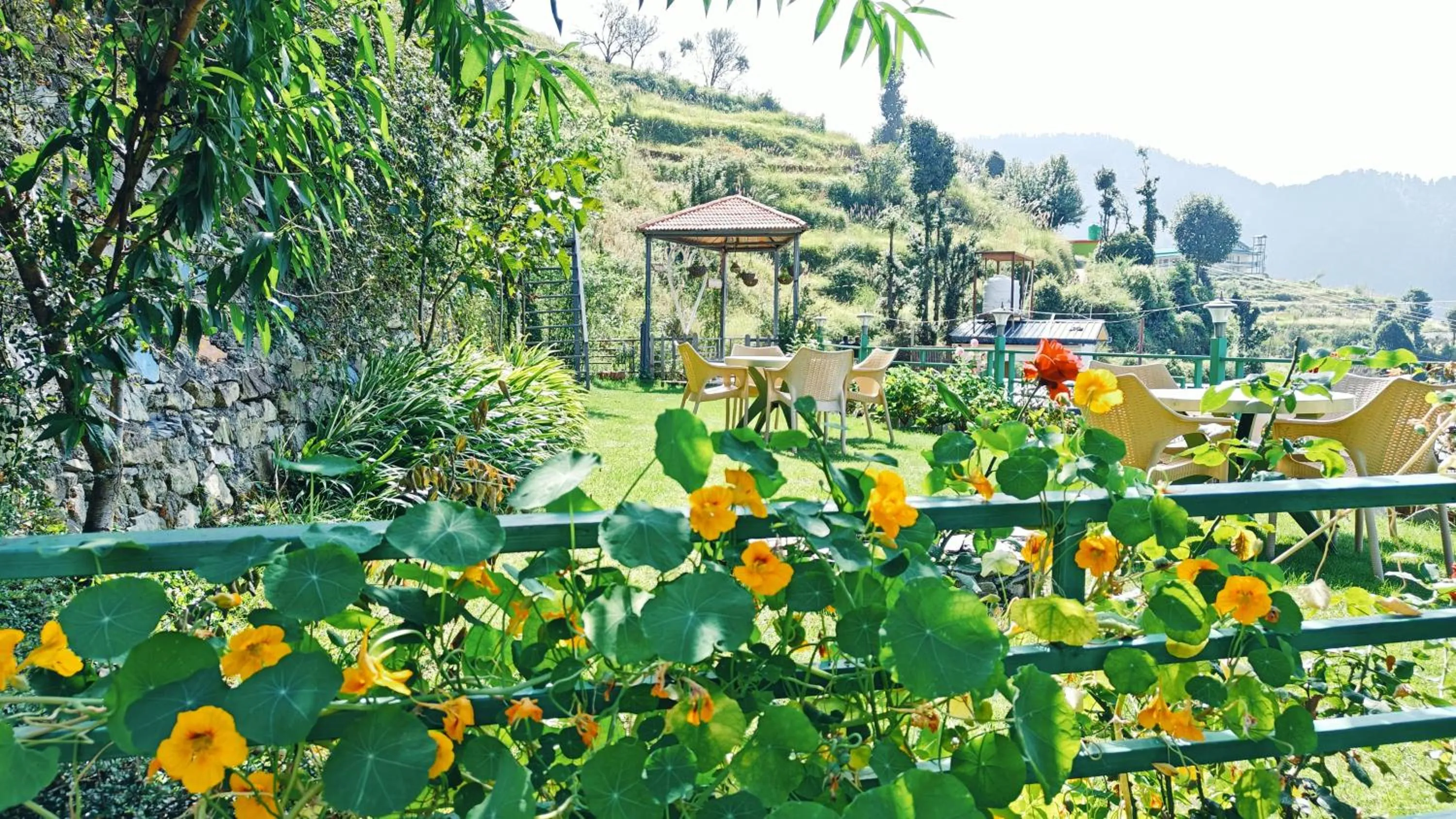 Garden in Hotel Alpine Musk
